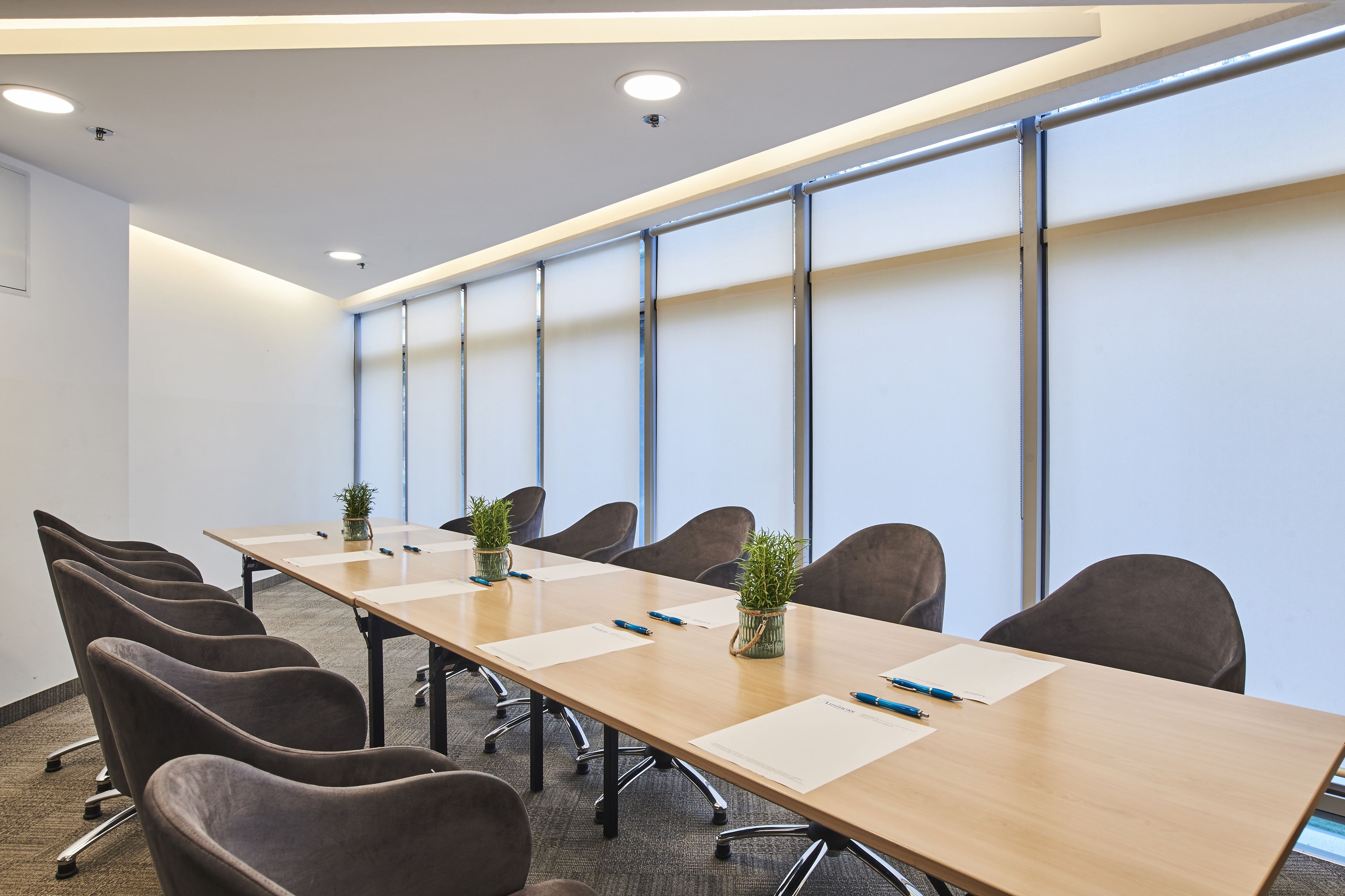 Un salón de conferencias con una mesa larga, sillas y plantas en macetas.
