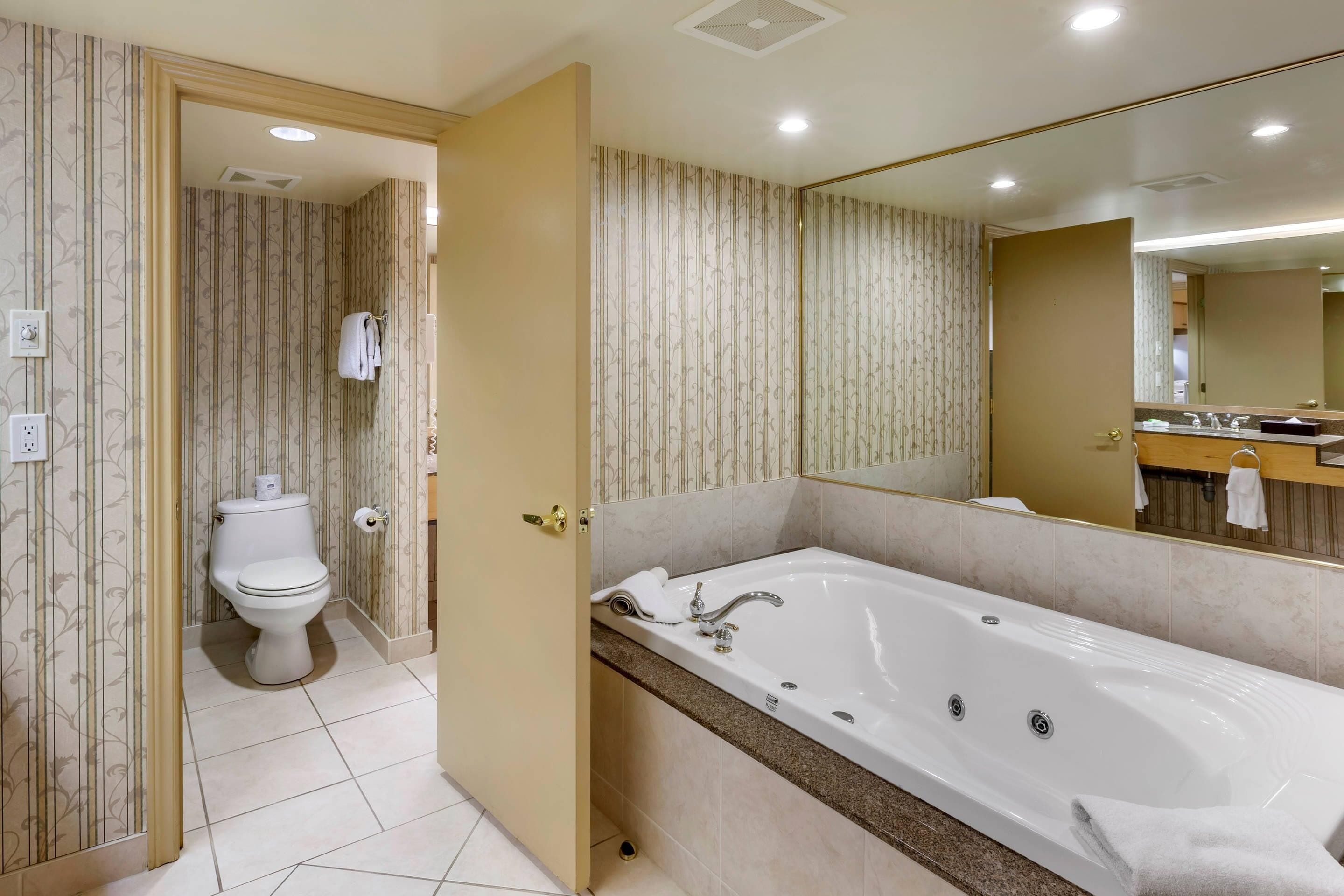 A modern bathroom with a large bathtub, a toilet, and a mirror.