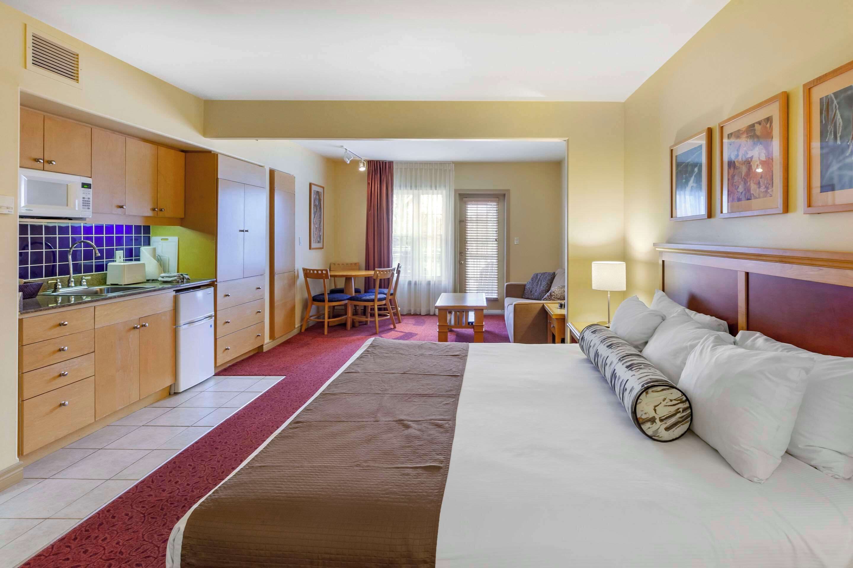 room, 1 king bed with sofa bed, non smoking (efficiency) | premium bedding, blackout curtains, iron/ironing board, free wifi