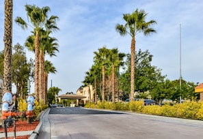 A street lined with tall palm trees and a building with a red roof in the background. - Citrus Suites Redlands Loma Linda Hotel (Redlands)