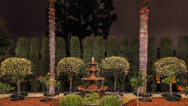A formal garden with a central fountain, surrounded by neatly trimmed hedges and trees adorned with lights. - Citrus Suites Redlands Loma Linda Hotel (Redlands)