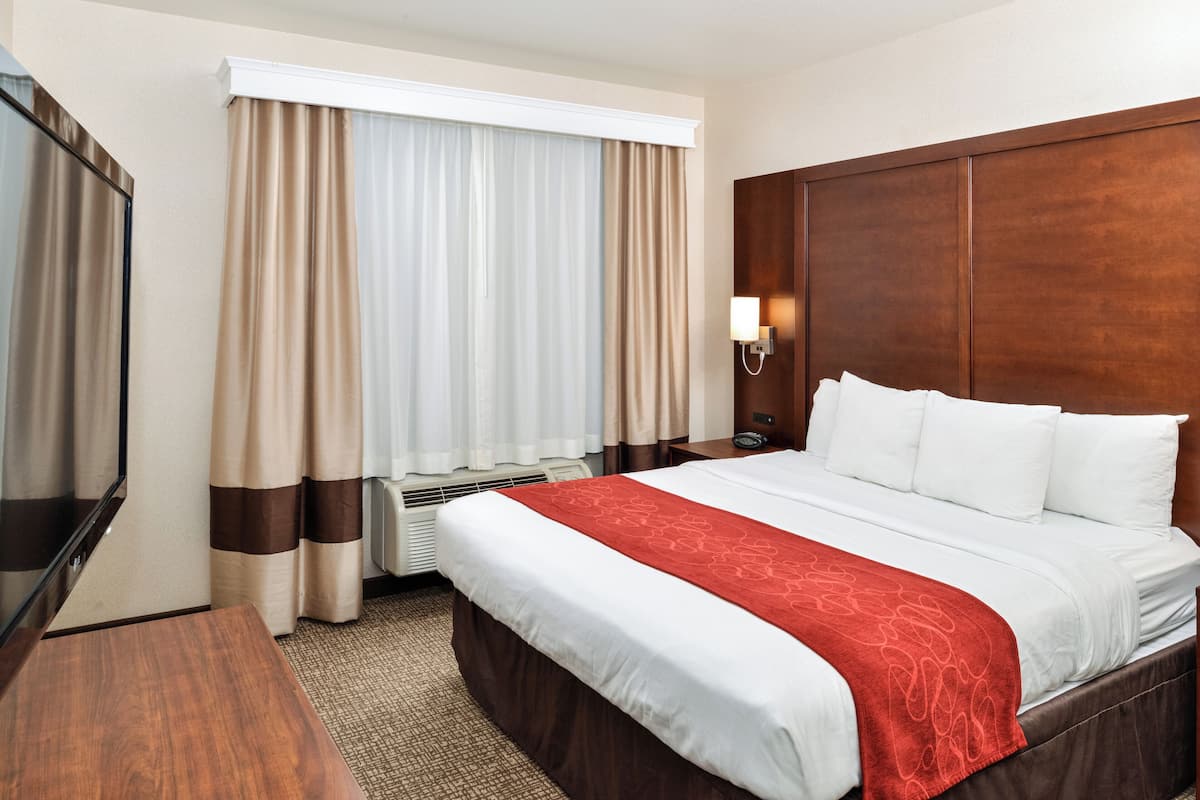 Suite, Spacious Separate Sleeping and Living Room, Non Smoking | 1 bedroom, premium bedding, desk, laptop workspace