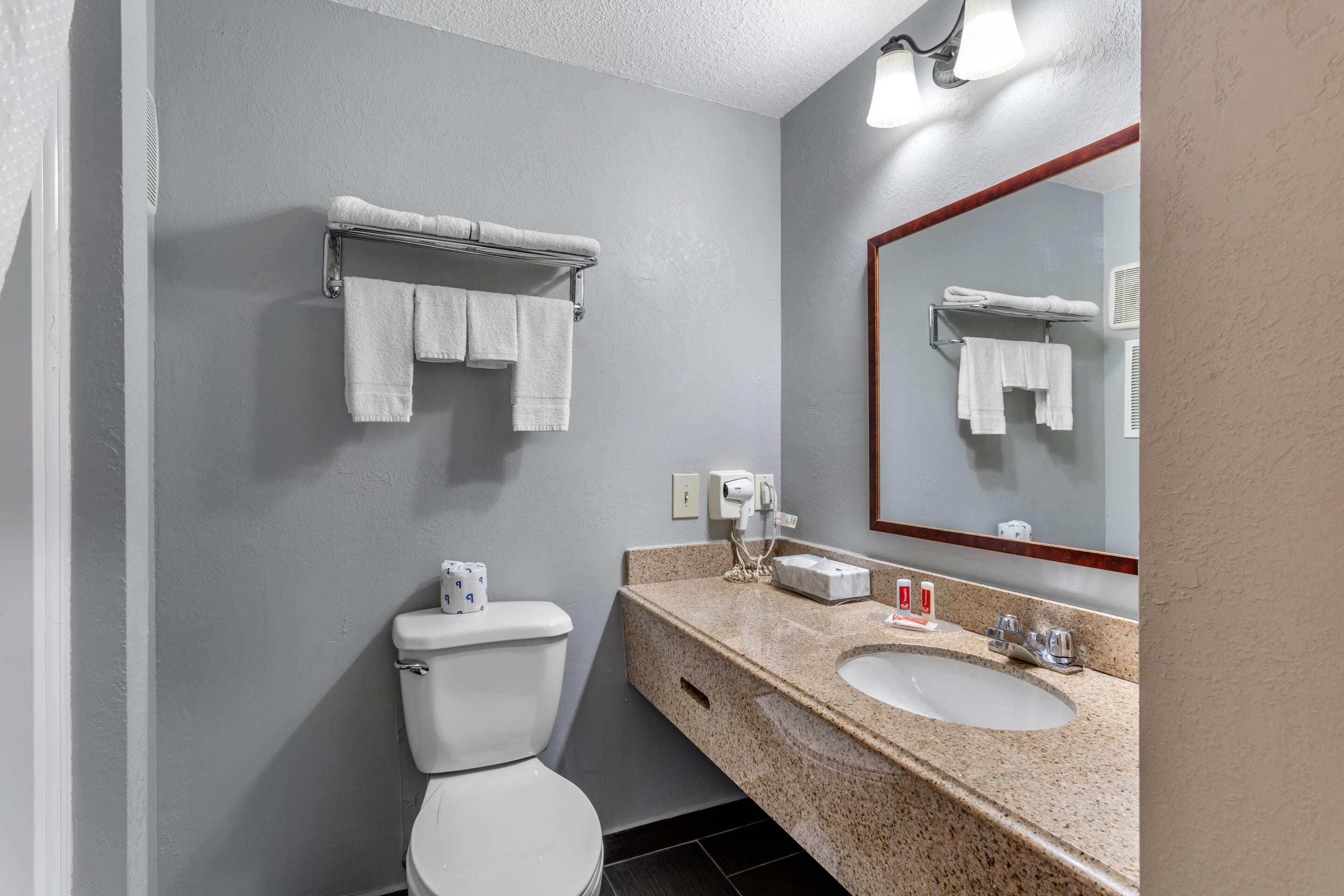 Une salle de bain équipée de toilettes, d’un lavabo, d’un porte-serviettes et d’un miroir.