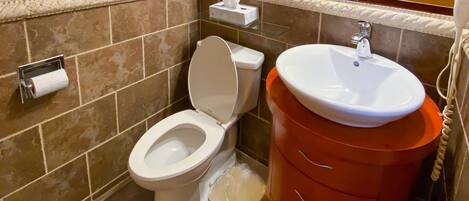 A bathroom with a toilet, sink, and a trash bin.