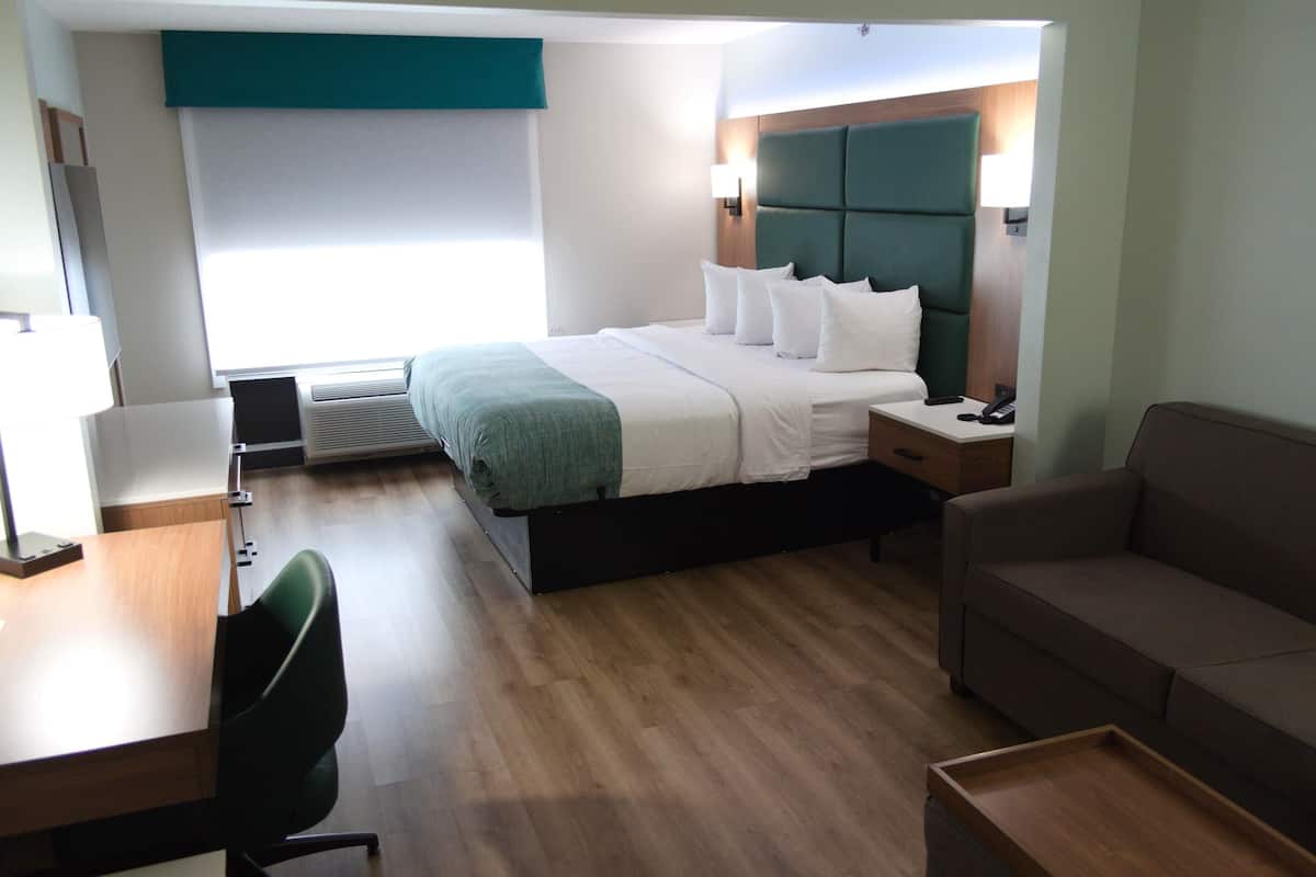A hotel room with a bed, a desk, a chair, a sofa, and a bedside table.