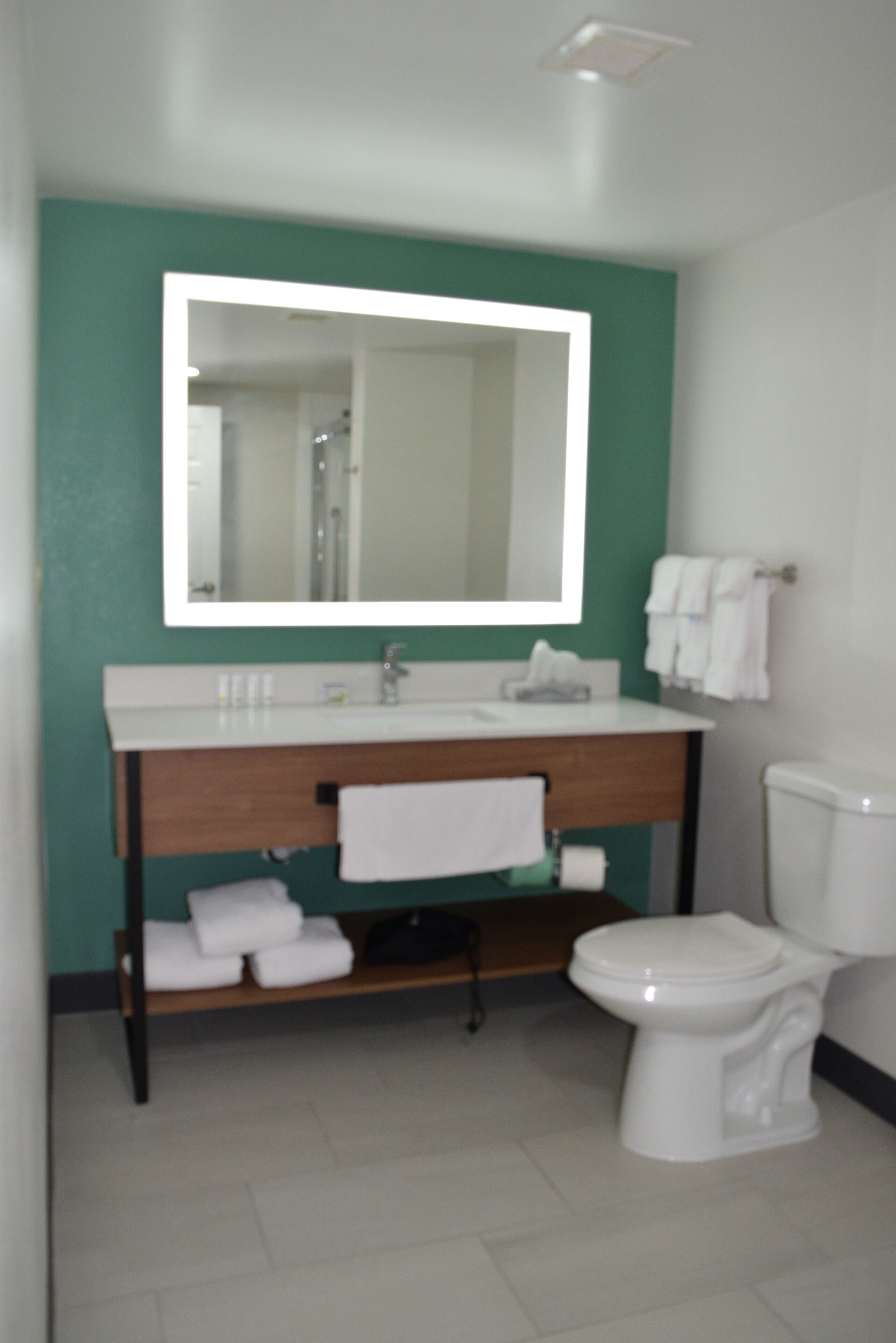 combined shower/bathtub, free toiletries, hair dryer, towels