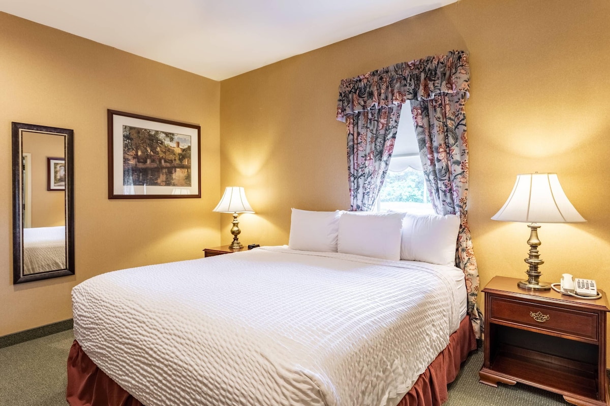 A hotel room with a large bed, two bedside tables with lamps, a mirror, and a framed picture on the wall.