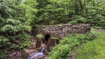 A stone bridge over a small stream in a forested area.