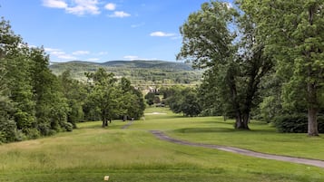 Un campo de golf con un camino despejado que conduce a un edificio distante, rodeado de abundante vegetación y árboles.