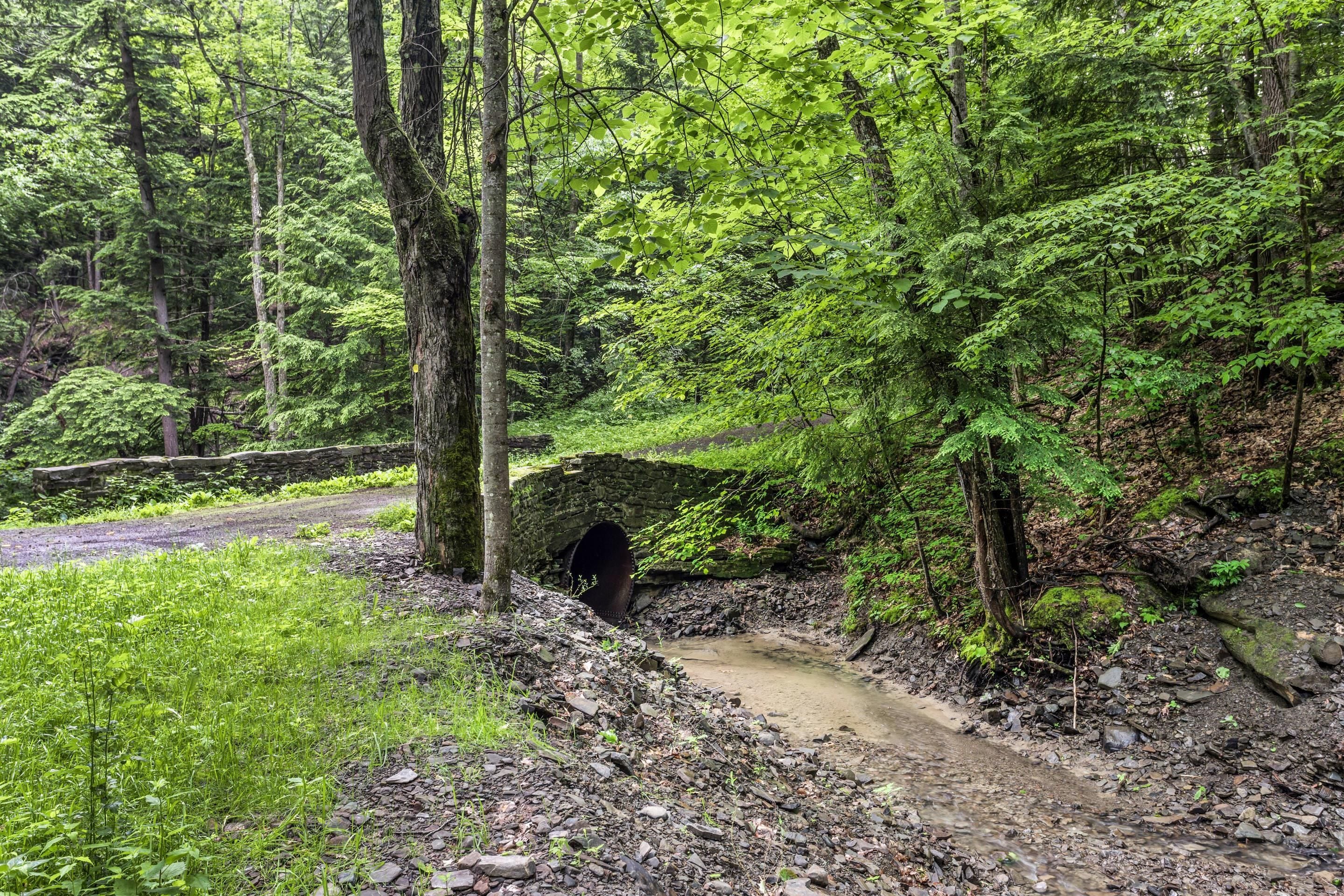 Ein bewaldetes Gebiet mit einem Feldweg, der zu einer Steinbrücke über einen Bach führt.