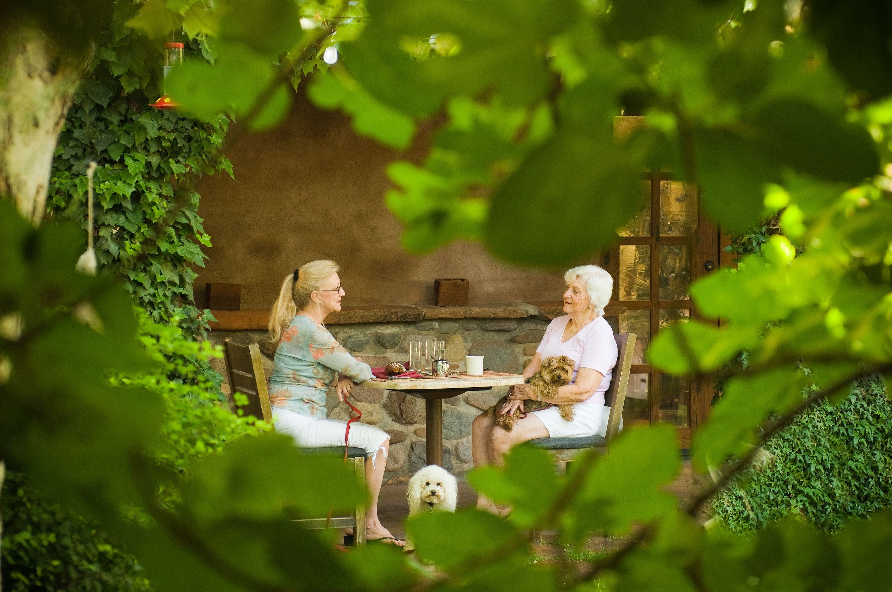 Two people sitting at an outdoor table with a dog, surrounded by greenery and a rustic stone wall.