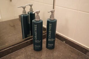 Combined shower/bathtub, free toiletries, hair dryer, slippers