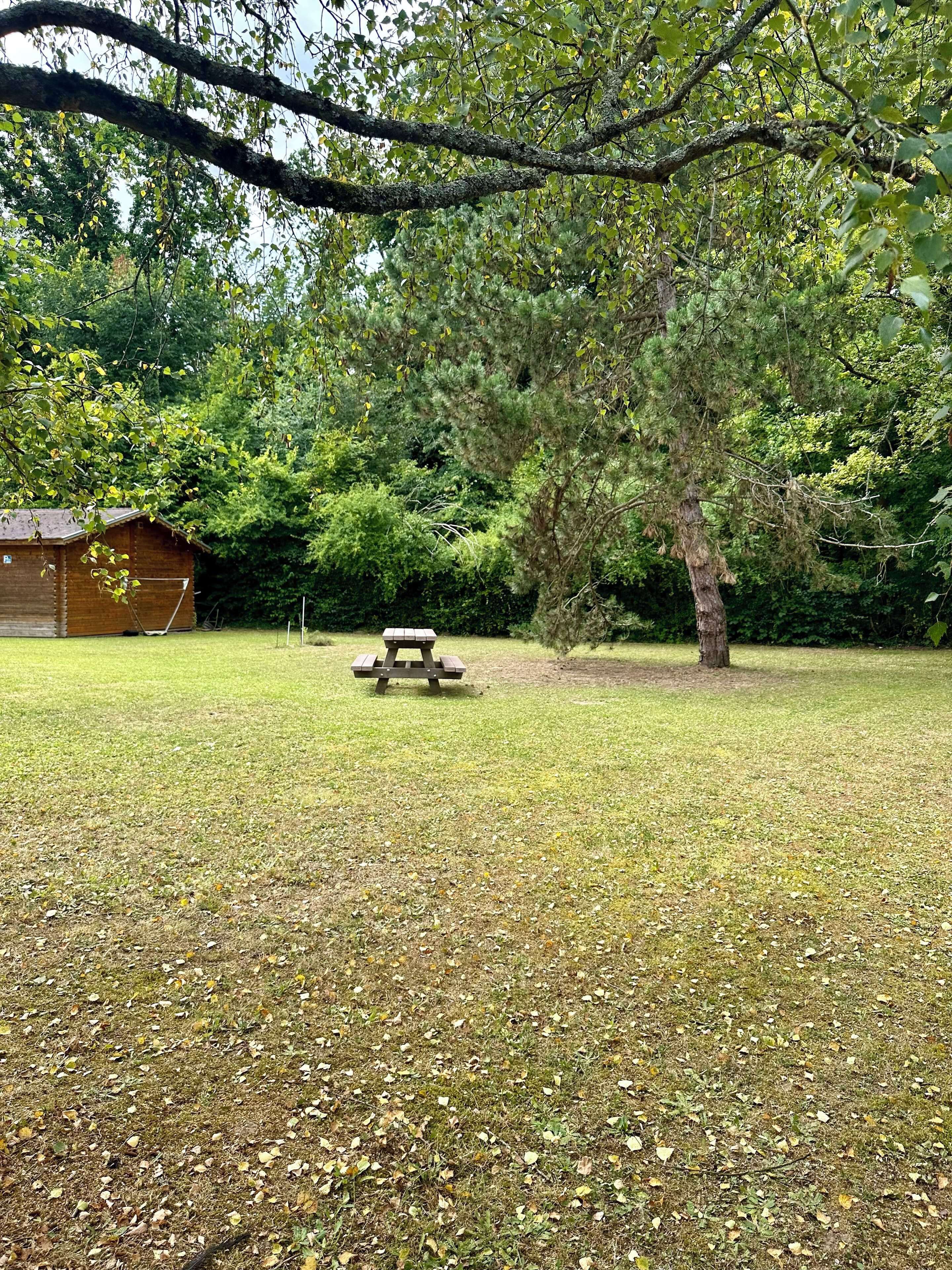 A picnic table in a grassy area with trees and a wooden structure in the background.
