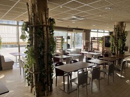 Desayuno buffet todos los días (con cargo)