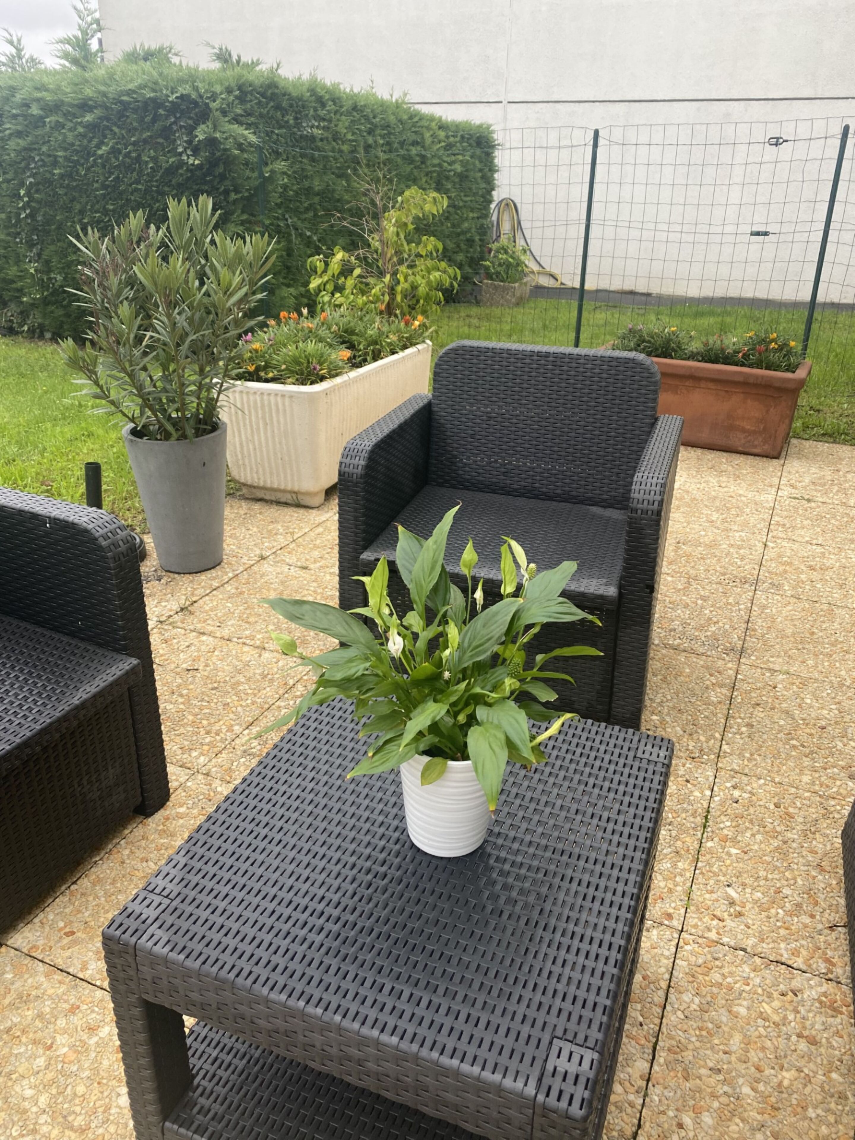 Photo - Campanile NATURE - Paris Ouest Gennevilliers Port