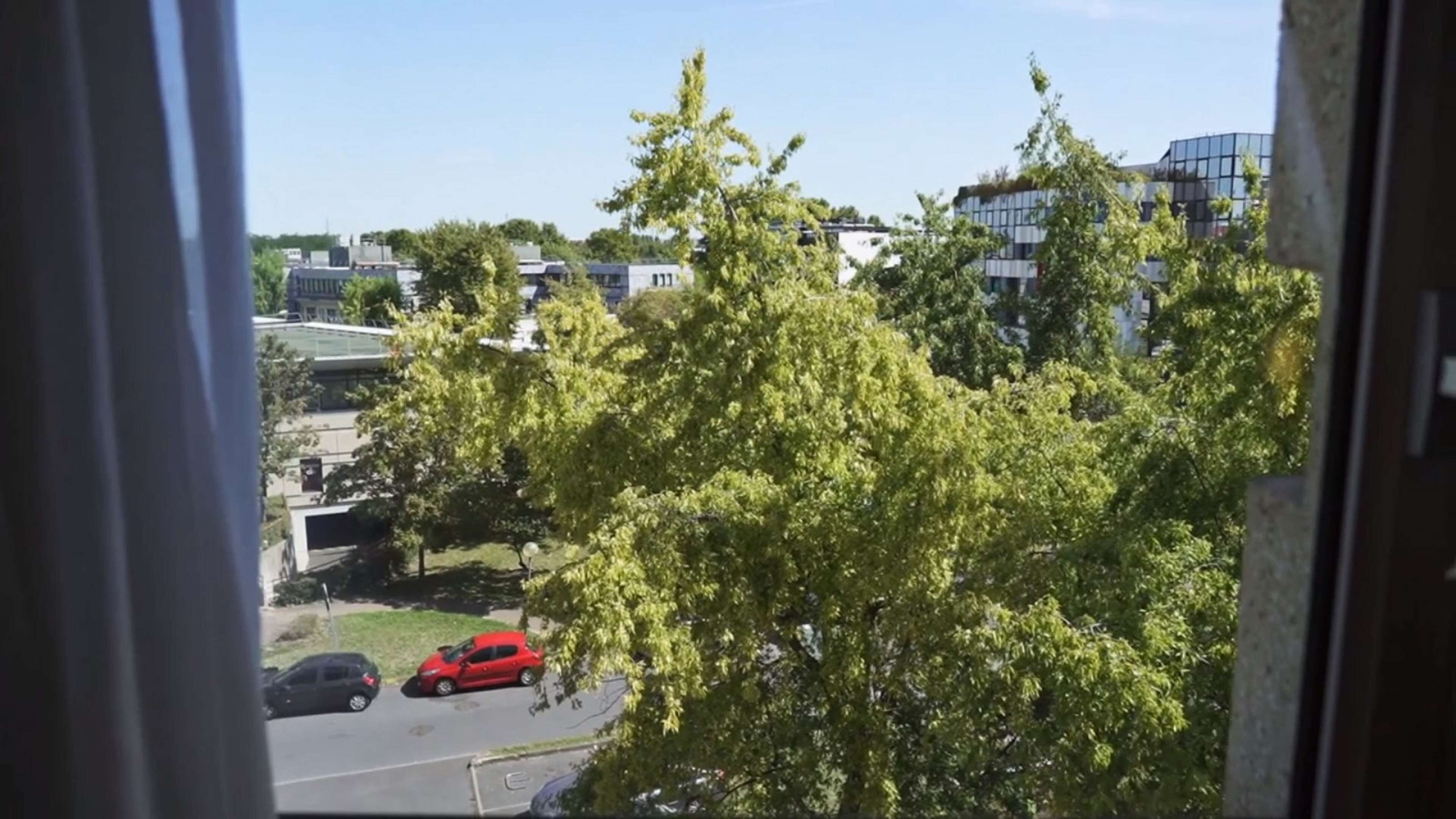 A view through a window with a tree in the foreground, a road with cars, and buildings in the background.
