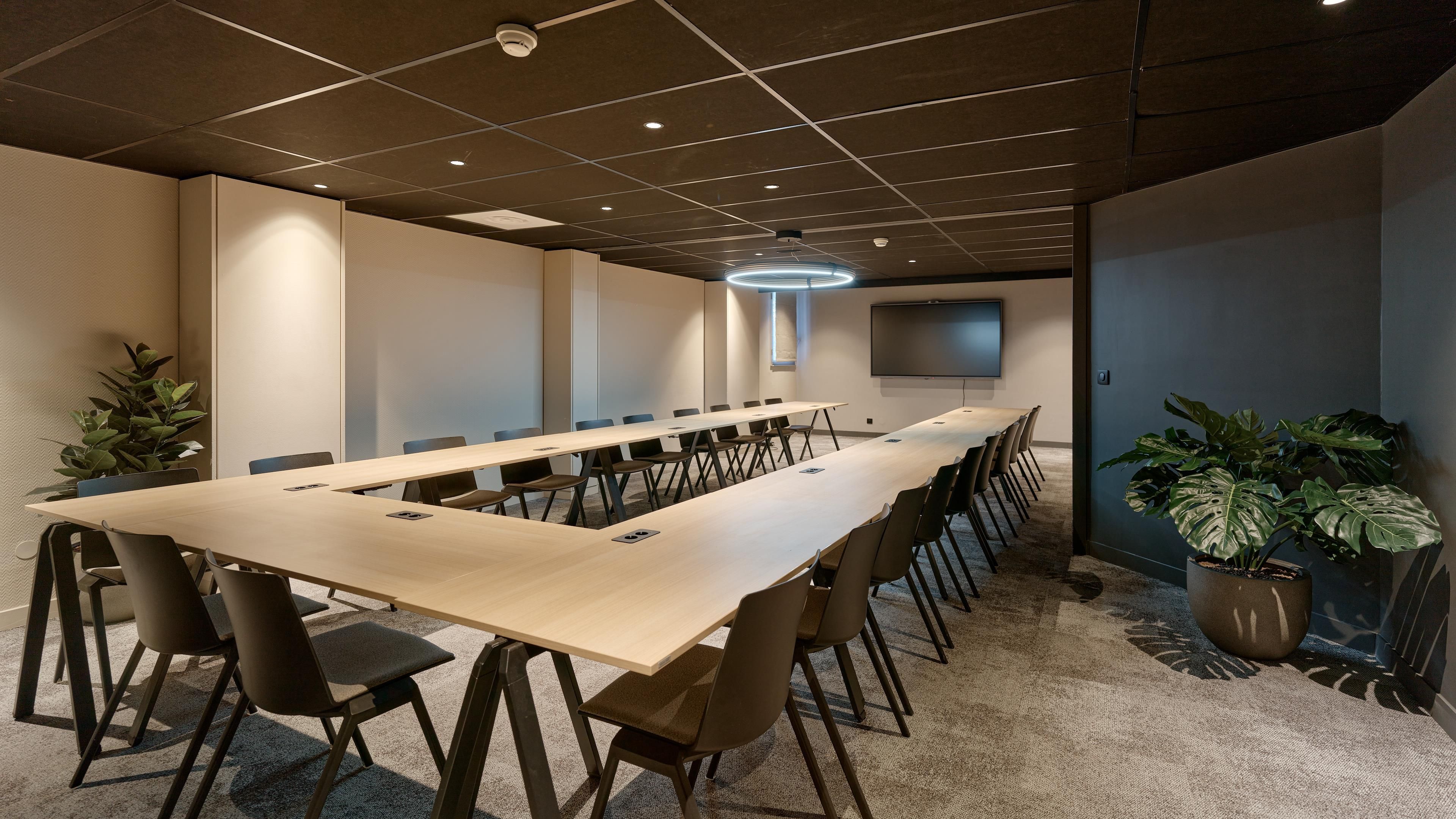 Una sala de conferencias con una larga mesa, sillas, un televisor de pantalla plana y plantas en macetas.