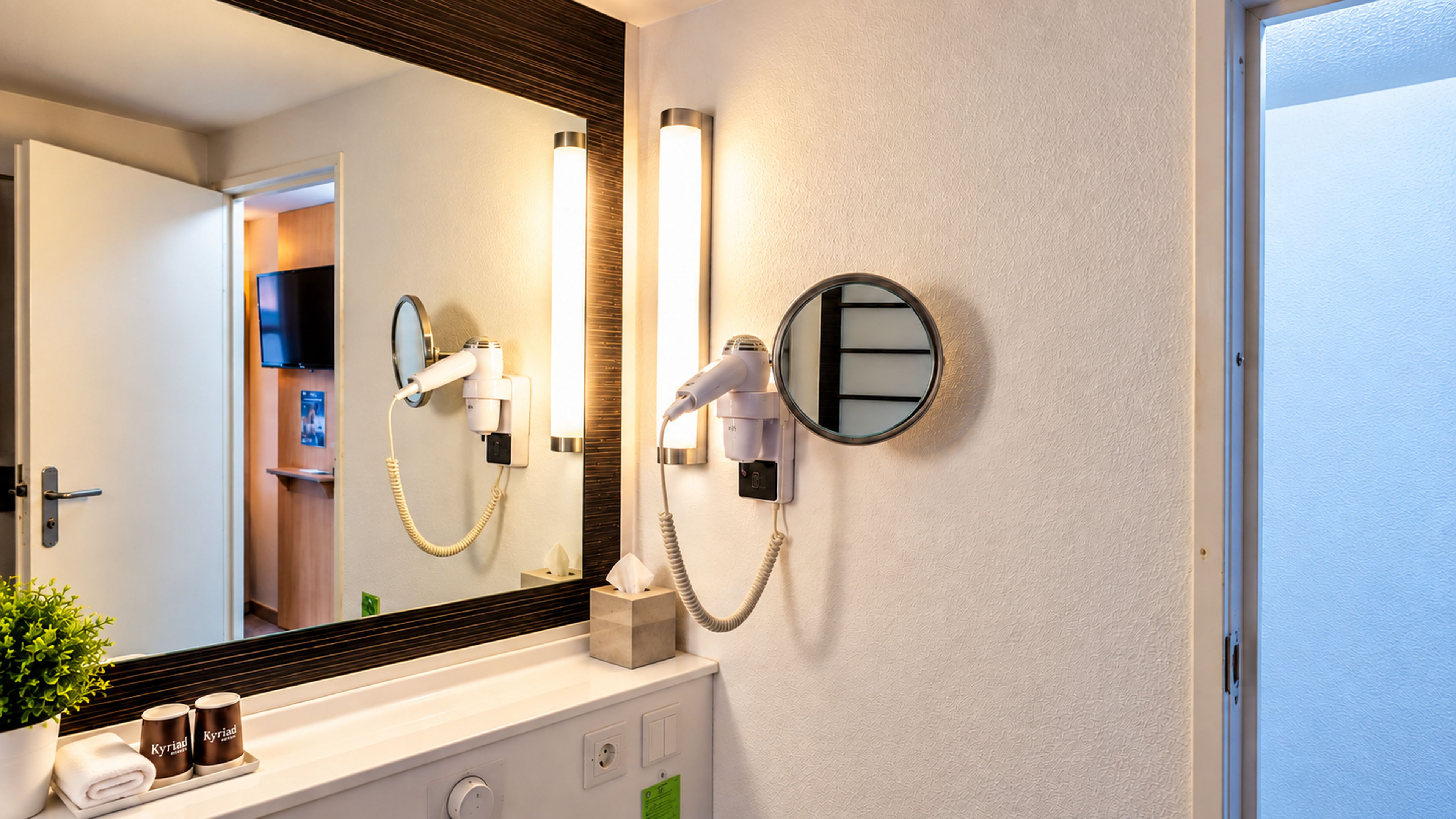 Een badkamer met een haardroger en een spiegel aan de muur, een handdoekhouder met een plant en twee bekers, en een zichtbare deur.