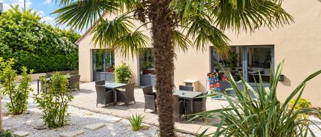 Un patio con mobiliario exterior, una palmera y un edificio con grandes ventanales.