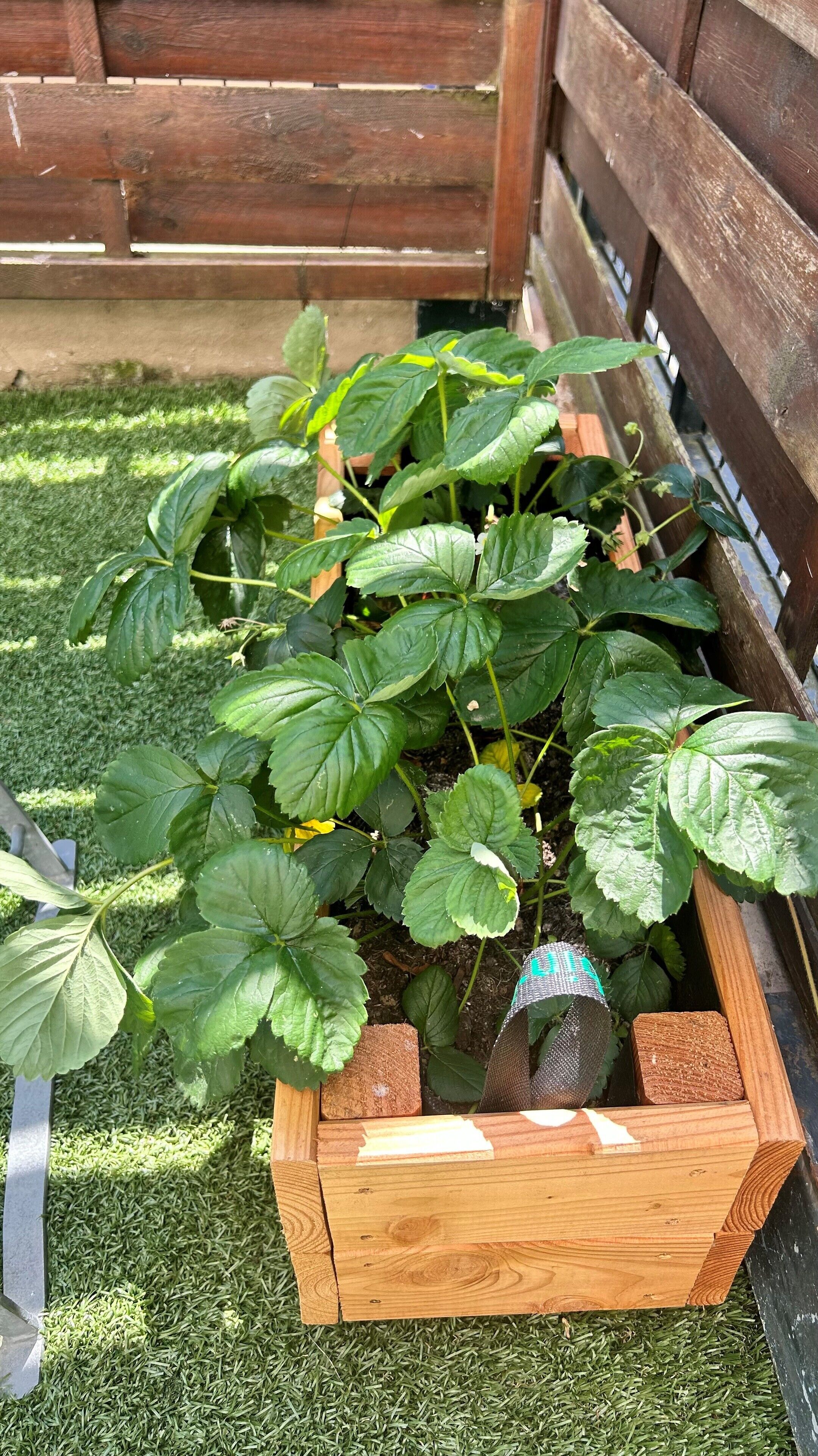 Foto - Kyriad Marne-La-Vallée Torcy