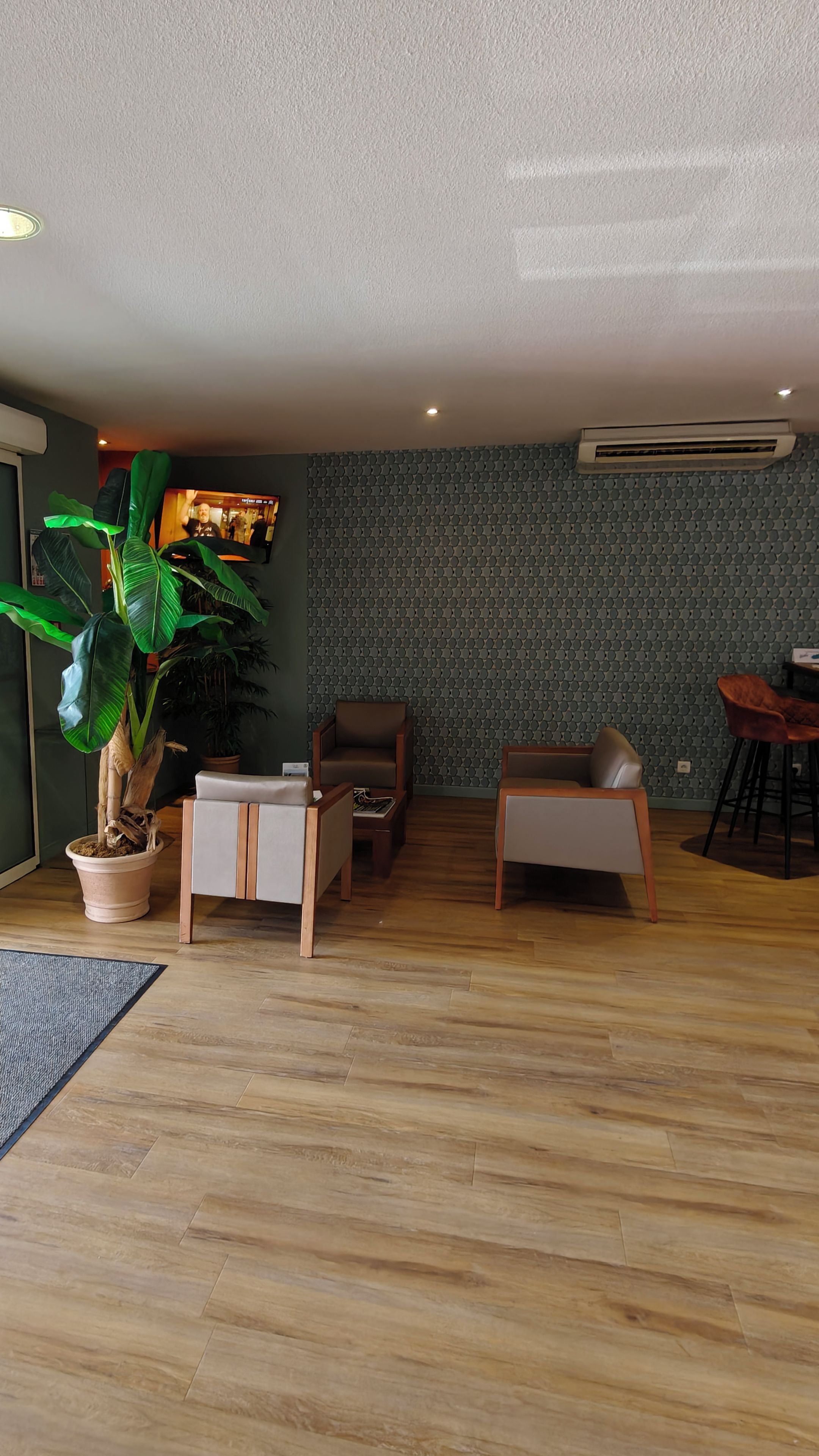 A modern living room with a wooden floor, a potted plant, a television, and a seating area with a chair and a sofa.