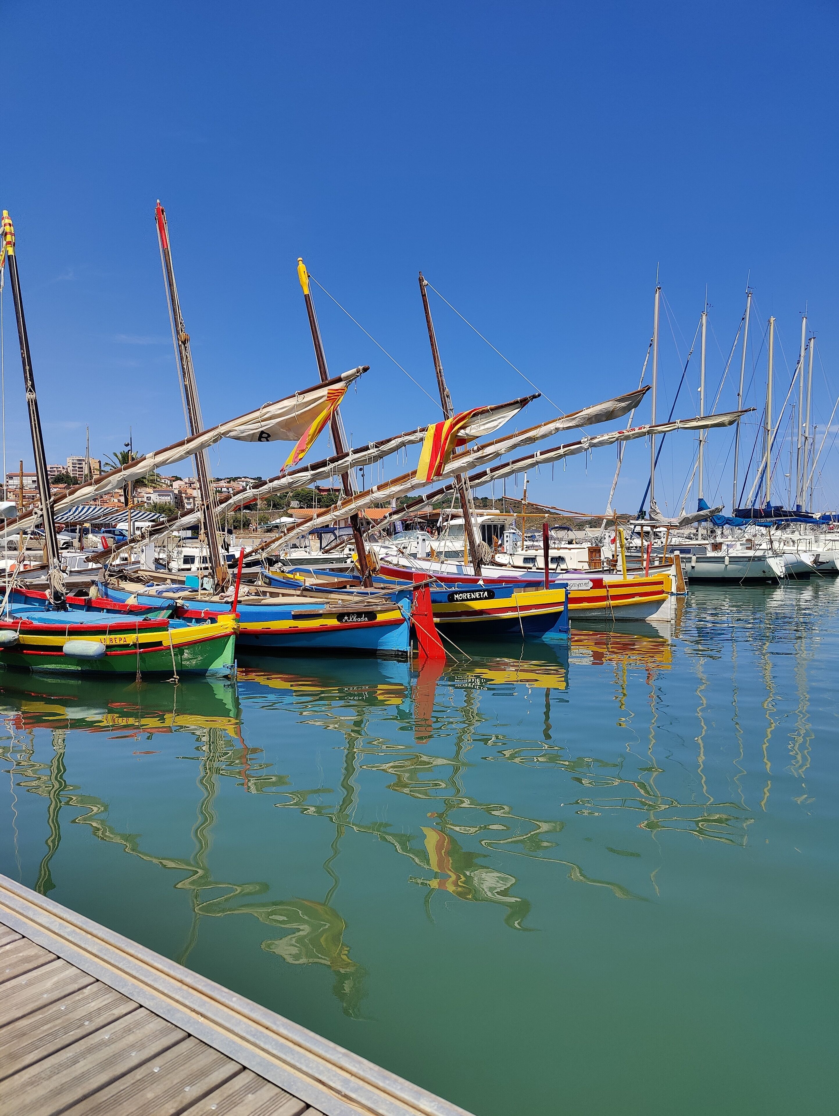 Un puerto deportivo con varias embarcaciones de colores amarradas.