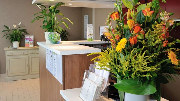 Zona de recepción con mostrador, planta en maceta y tablón de anuncios.