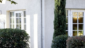 Un bâtiment avec deux fenêtres, l’une dotée d’un cadre blanc et l’autre d’une porte blanche. Un arbre grand et étroit se trouve devant la fenêtre qui donne sur la porte.
