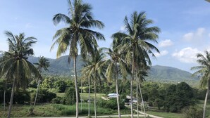 Una vista de un paisaje verde exuberante con altas palmeras y una montaña al fondo.