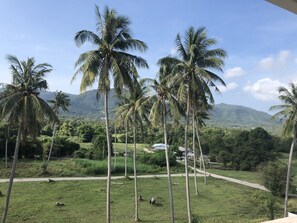 Garden - Amarin Samui Hotel (Koh Samui)