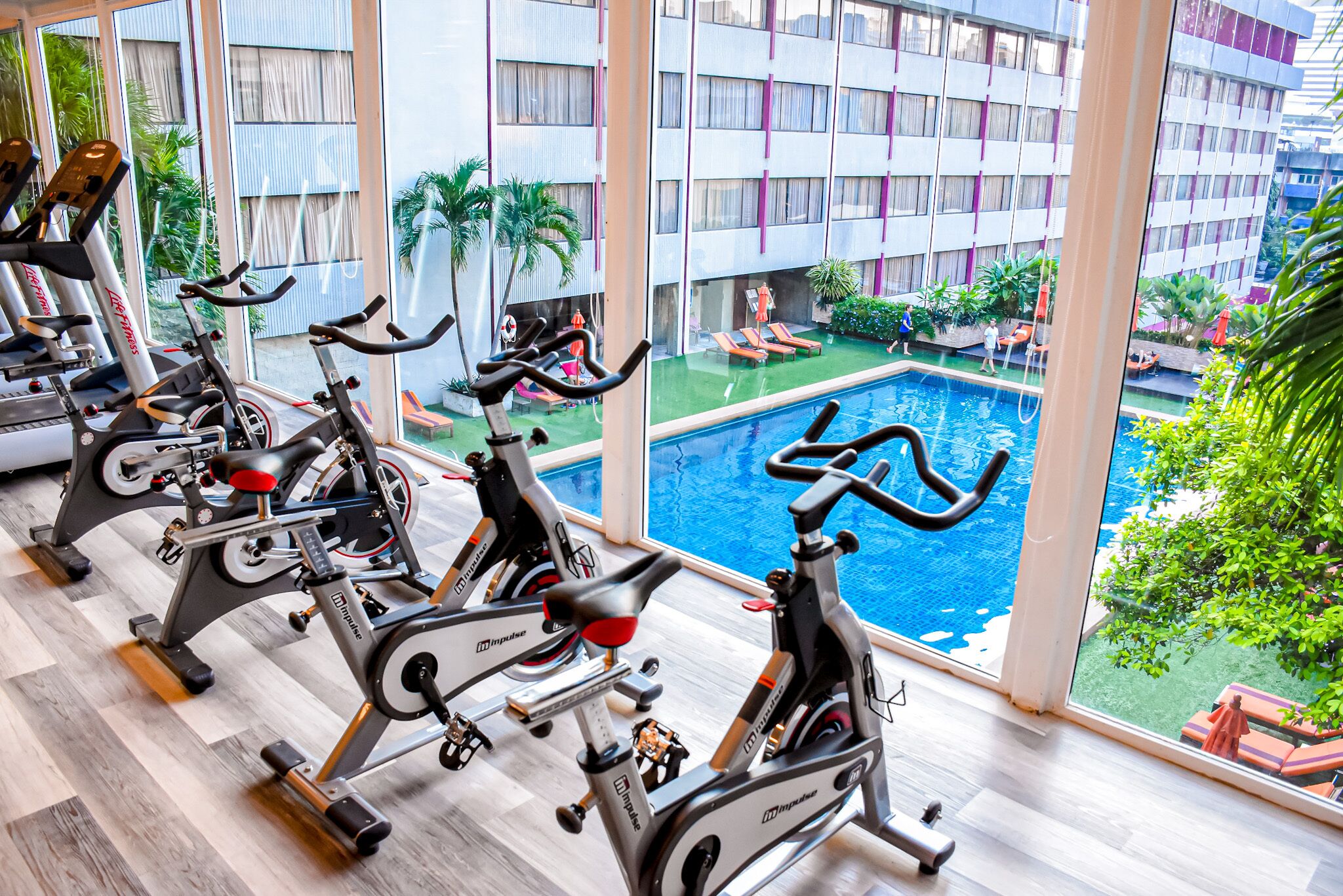 Gimnasio