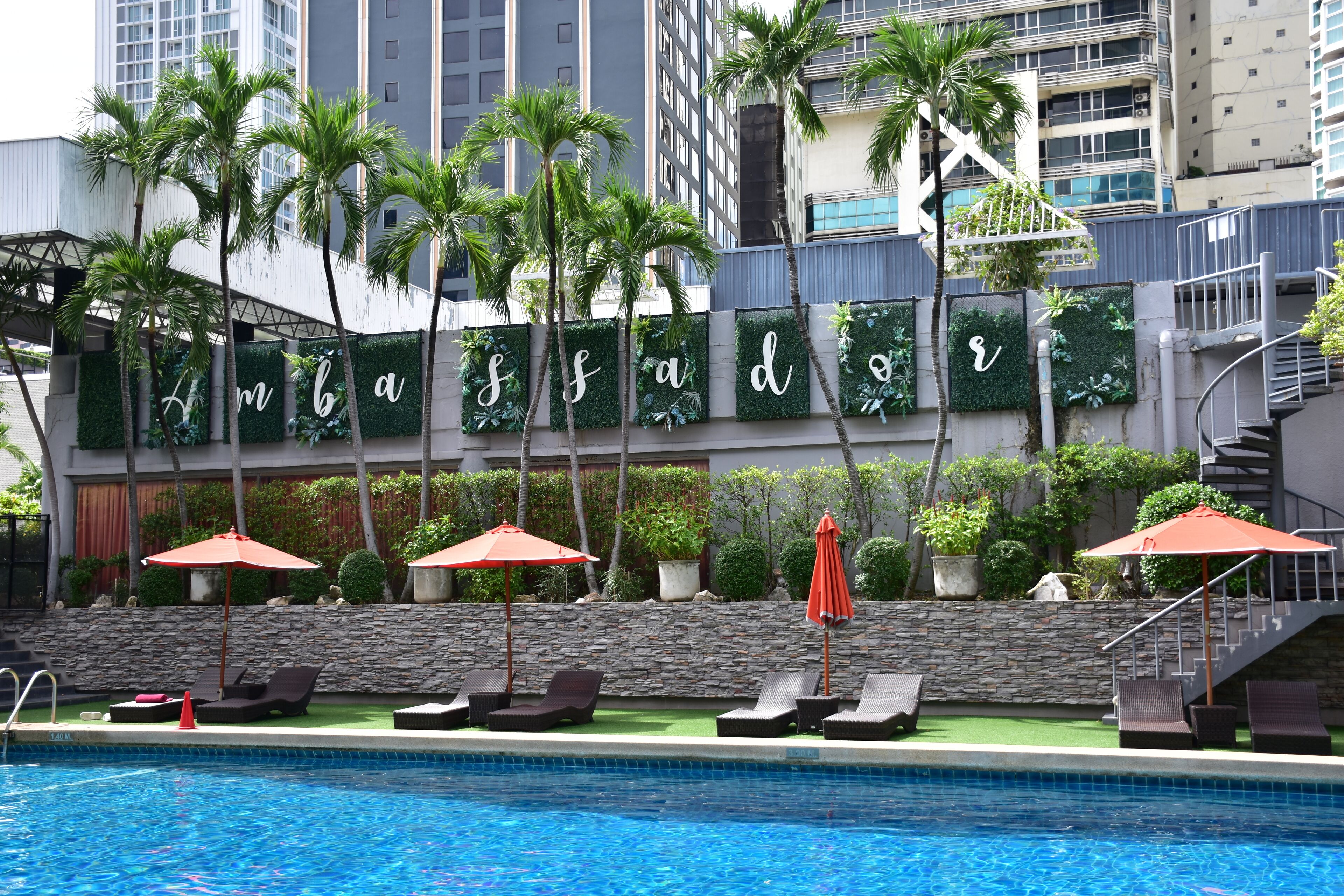 Outdoor pool, sun loungers