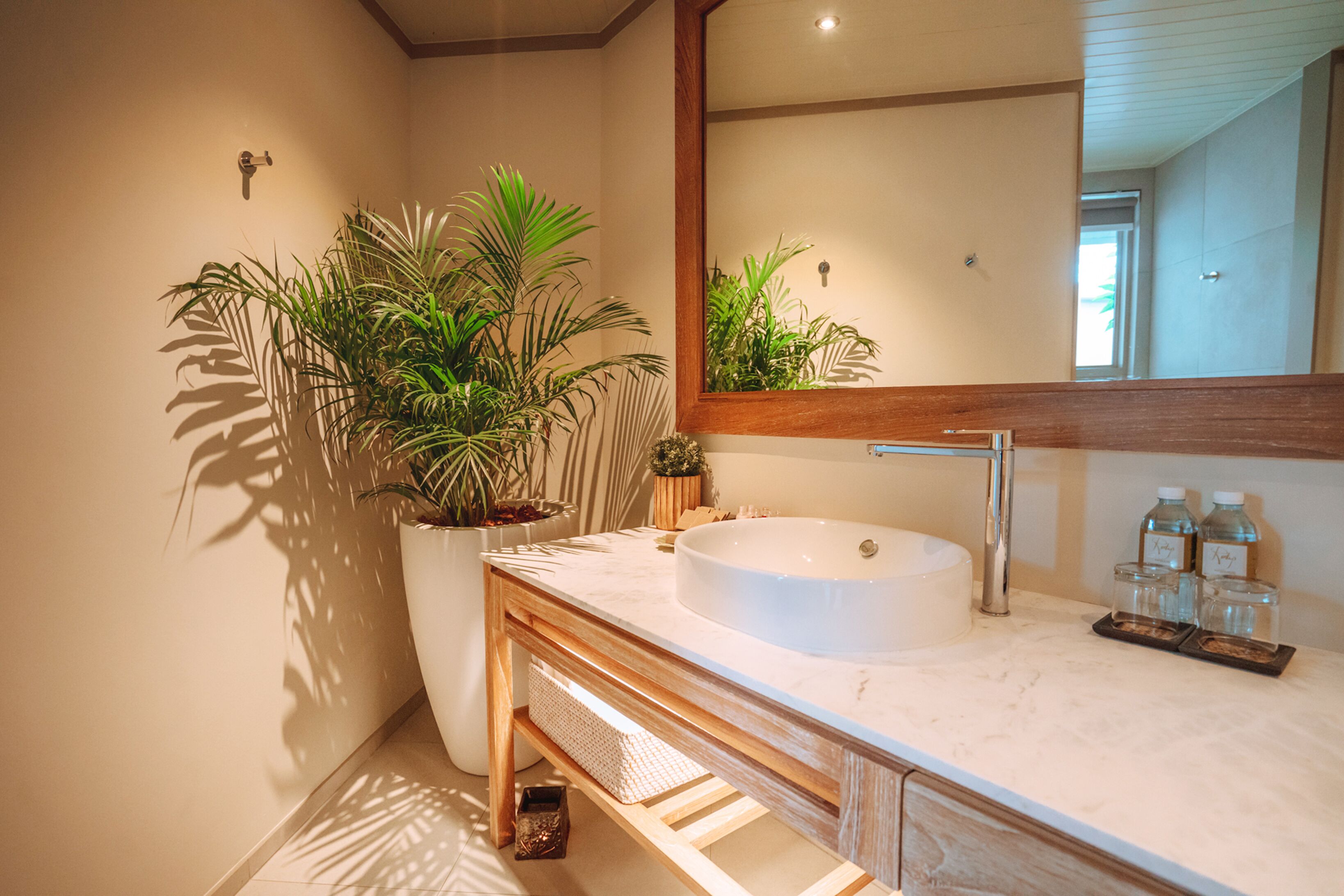 Ein modernes Badezimmer mit einem großen Waschbecken, einem Spiegel und einer Zimmerpflanze.