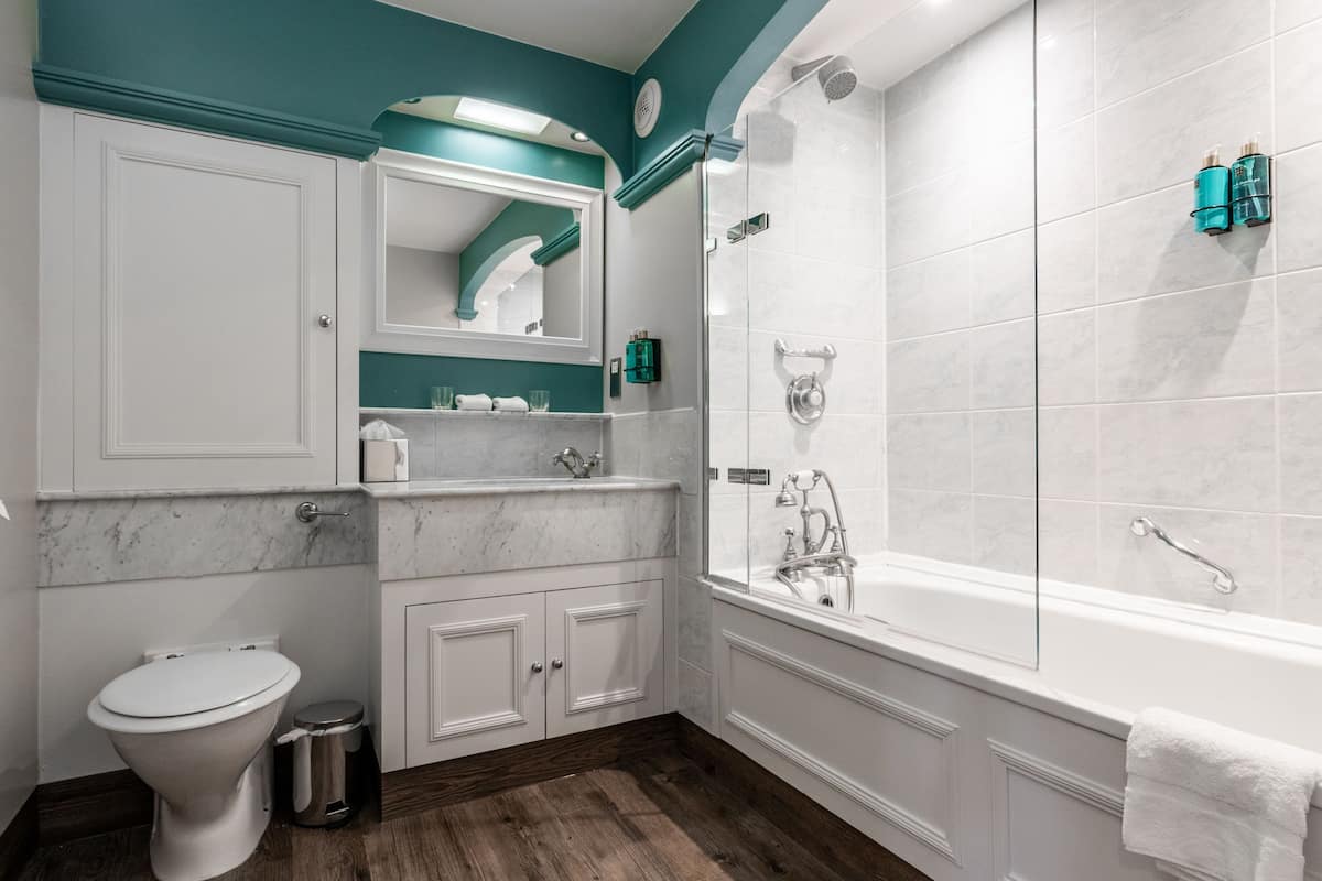 combined shower/bathtub, free toiletries, hair dryer, towels