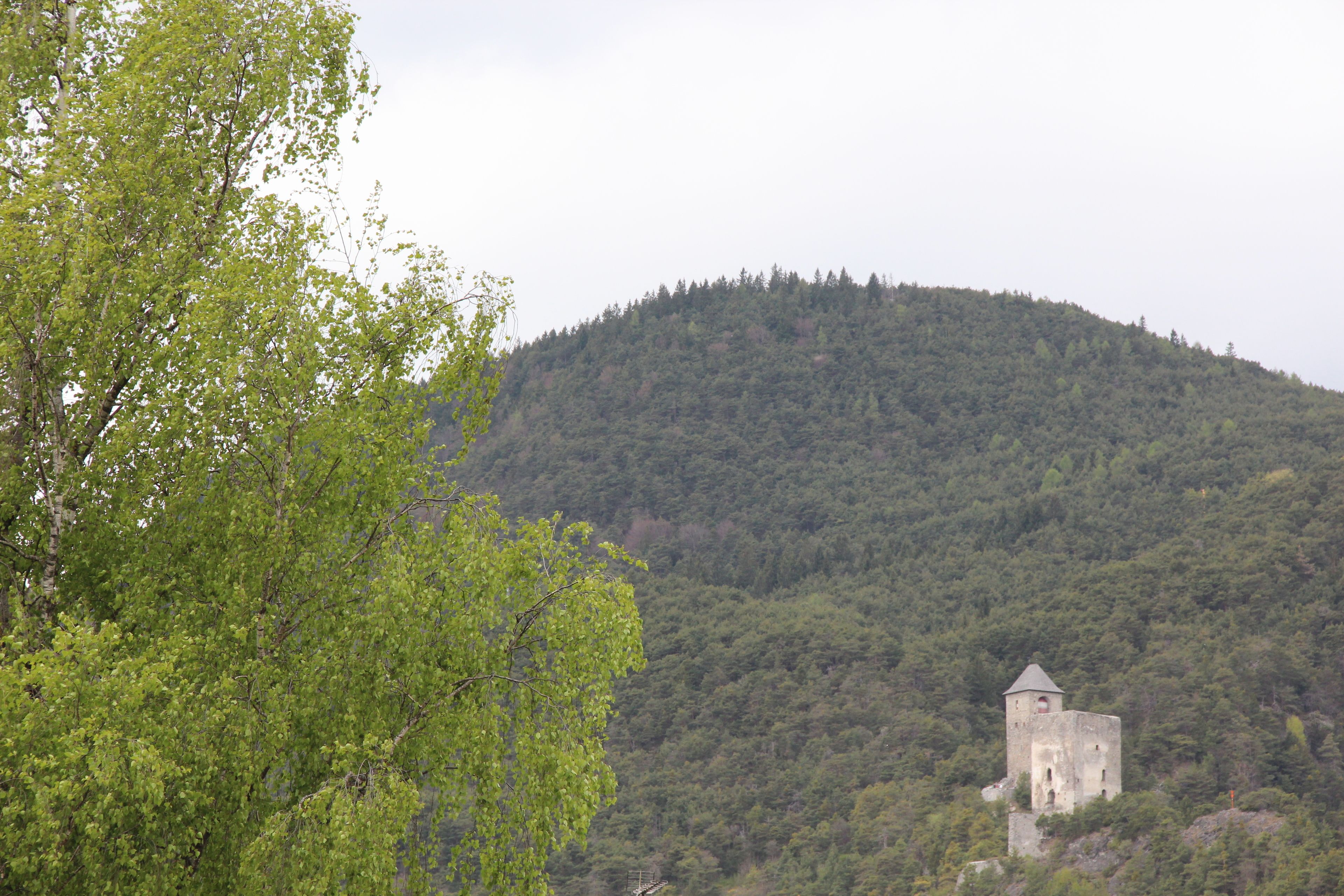 A stone building with a bell tower on a hill, surrounded by dense forest.