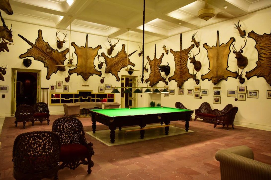 Une pièce avec une table de billard, des fauteuils en cuir et des murs décorés de peaux d’animaux empaillées.