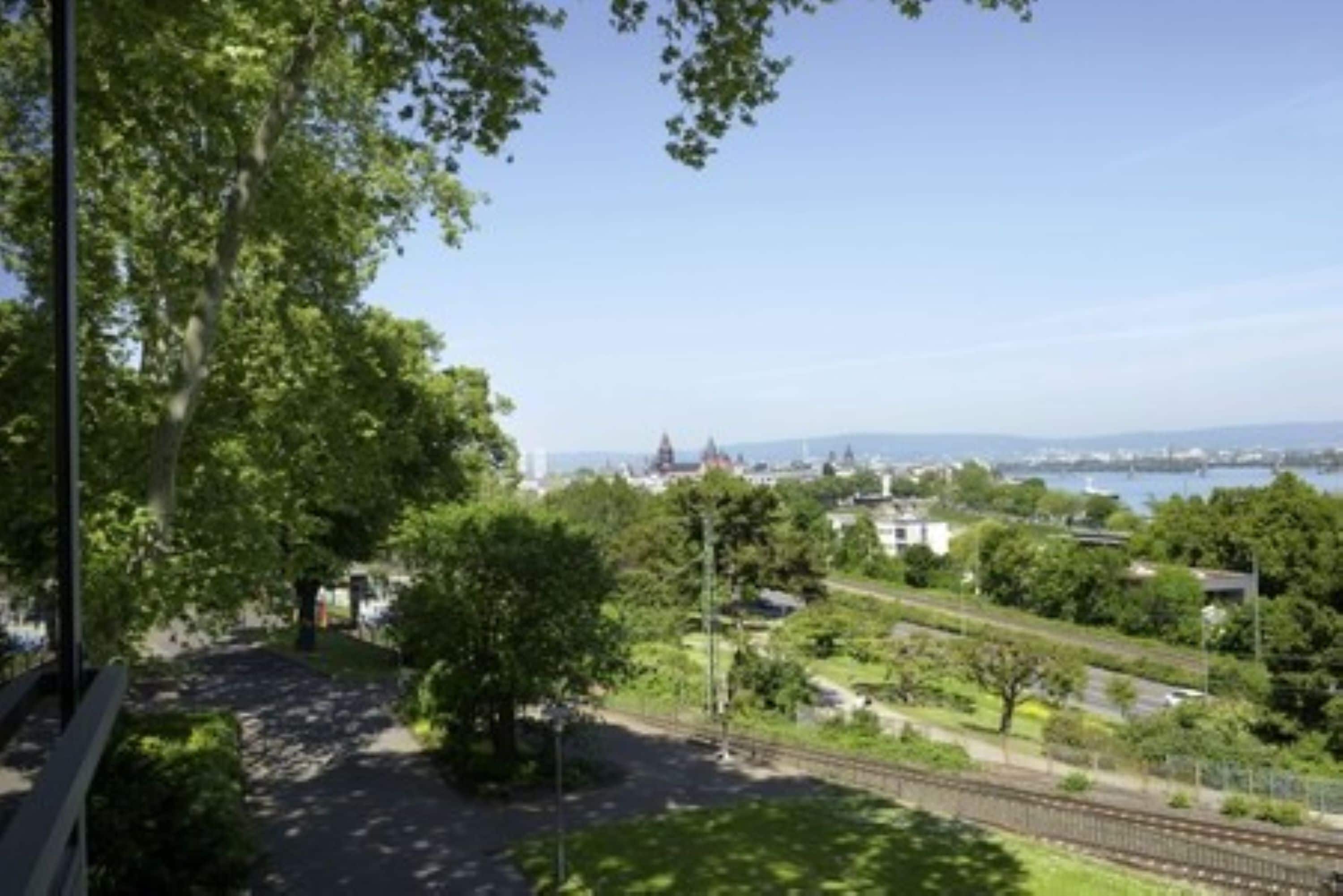 Une vue d’un parc avec des arbres et un sentier, un bâtiment situé au loin et une étendue d’eau.