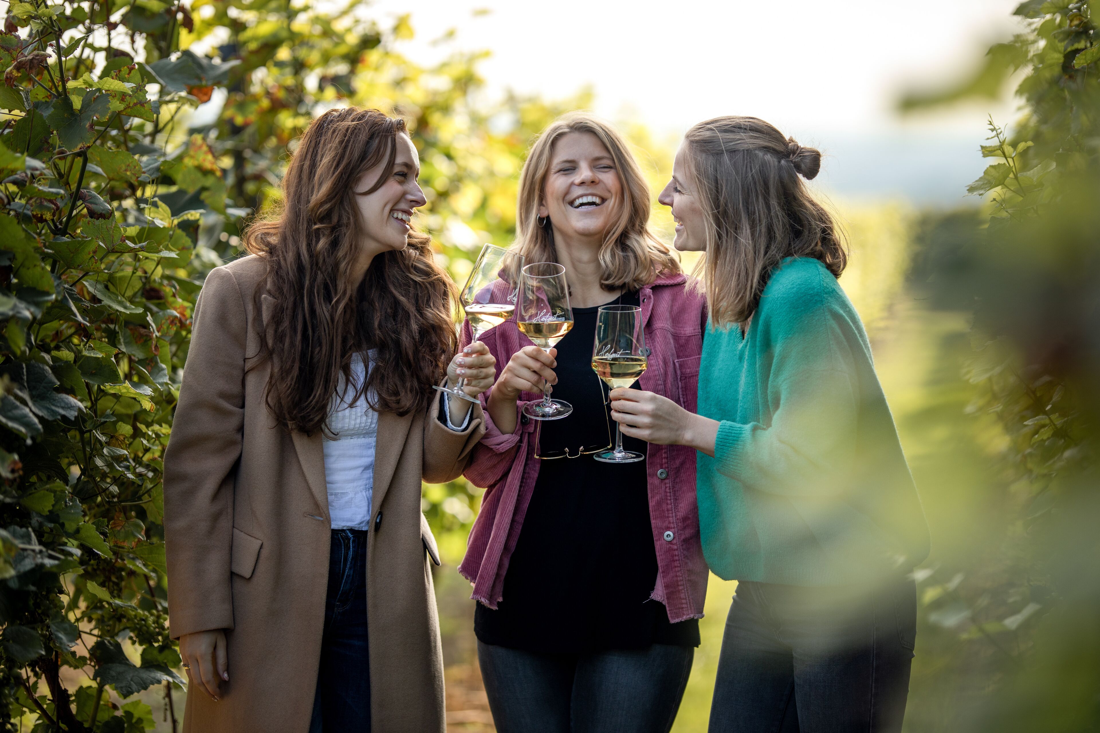 Three people toasting with wine glasses in a vineyard setting.