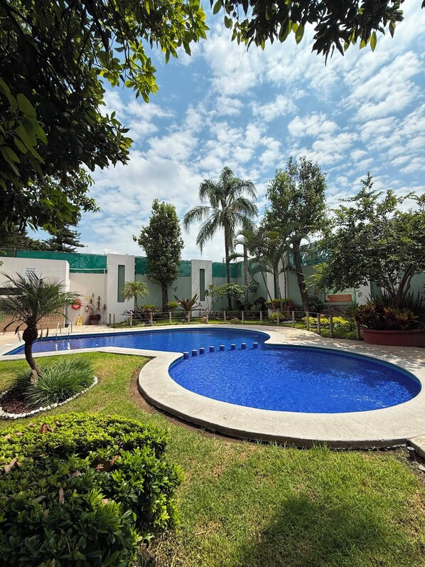 A swimming pool with a surrounding garden, a palm tree, and a building with a green roof. - Áurea Hotel & Suites (Zapopan)
