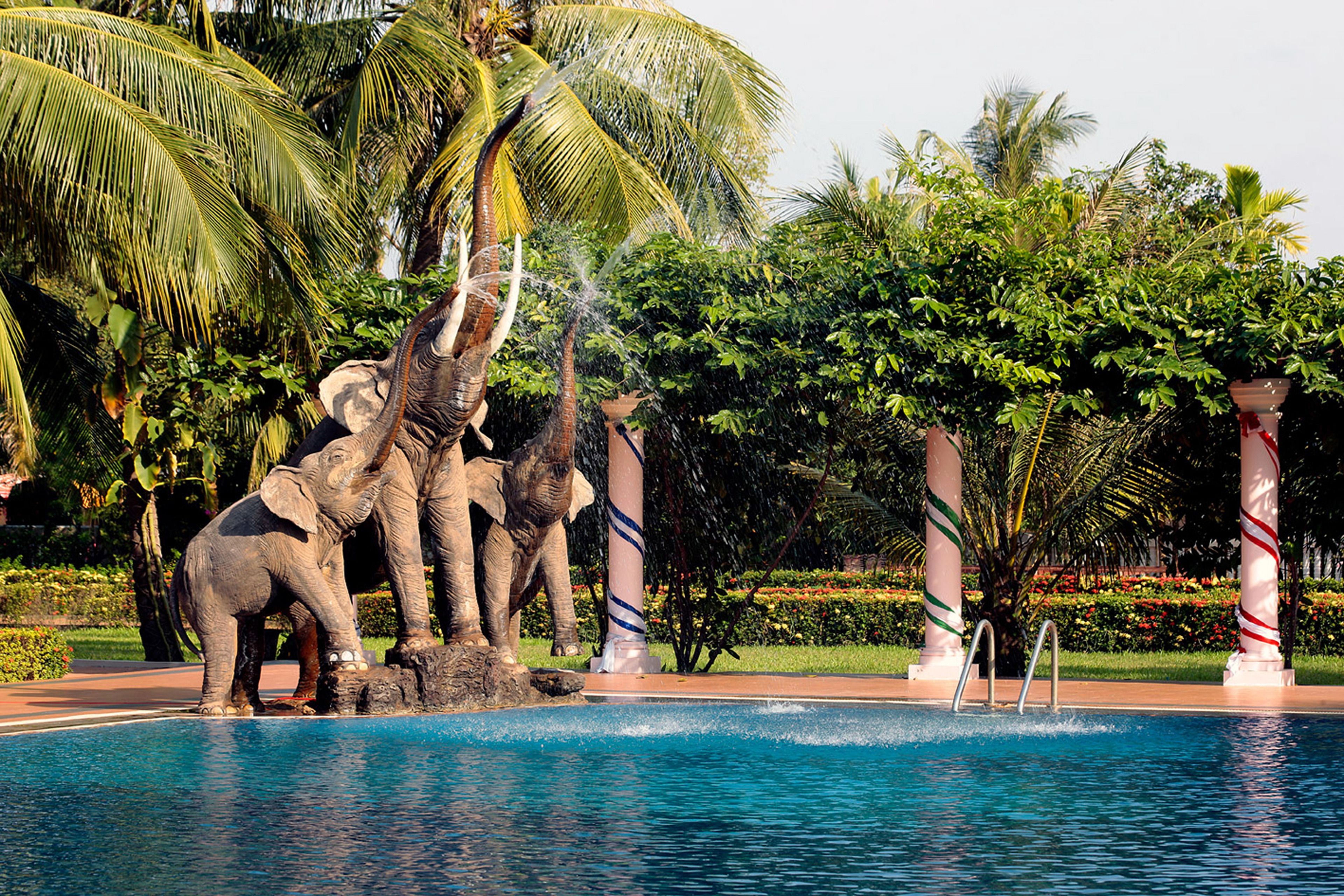 outdoor pool, pool umbrellas
