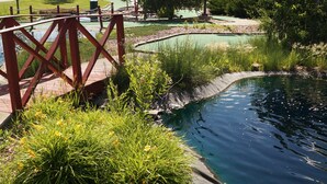 A bridge over a pond with a golf course in the background. - Norfolk Lodge & Suites, an Ascend Collection Hotel (Norfolk)