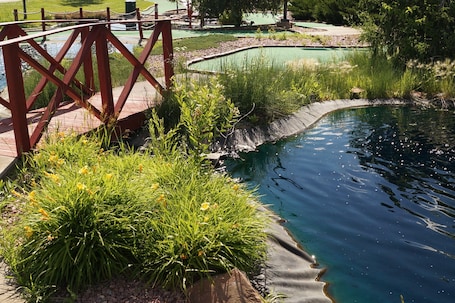 Mini-golf