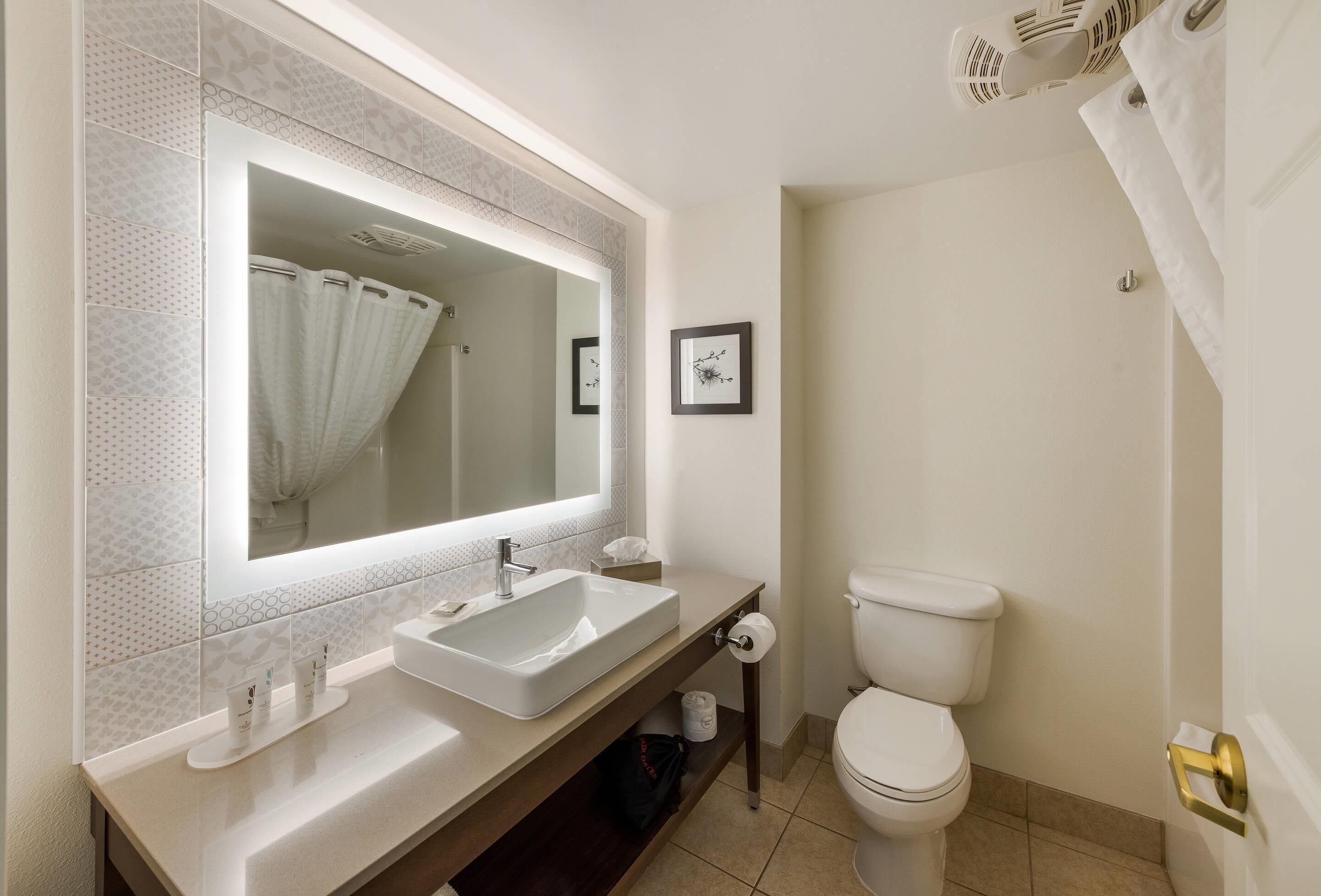 Une salle de bain avec un grand miroir, un lavabo, des toilettes et un rideau de douche.