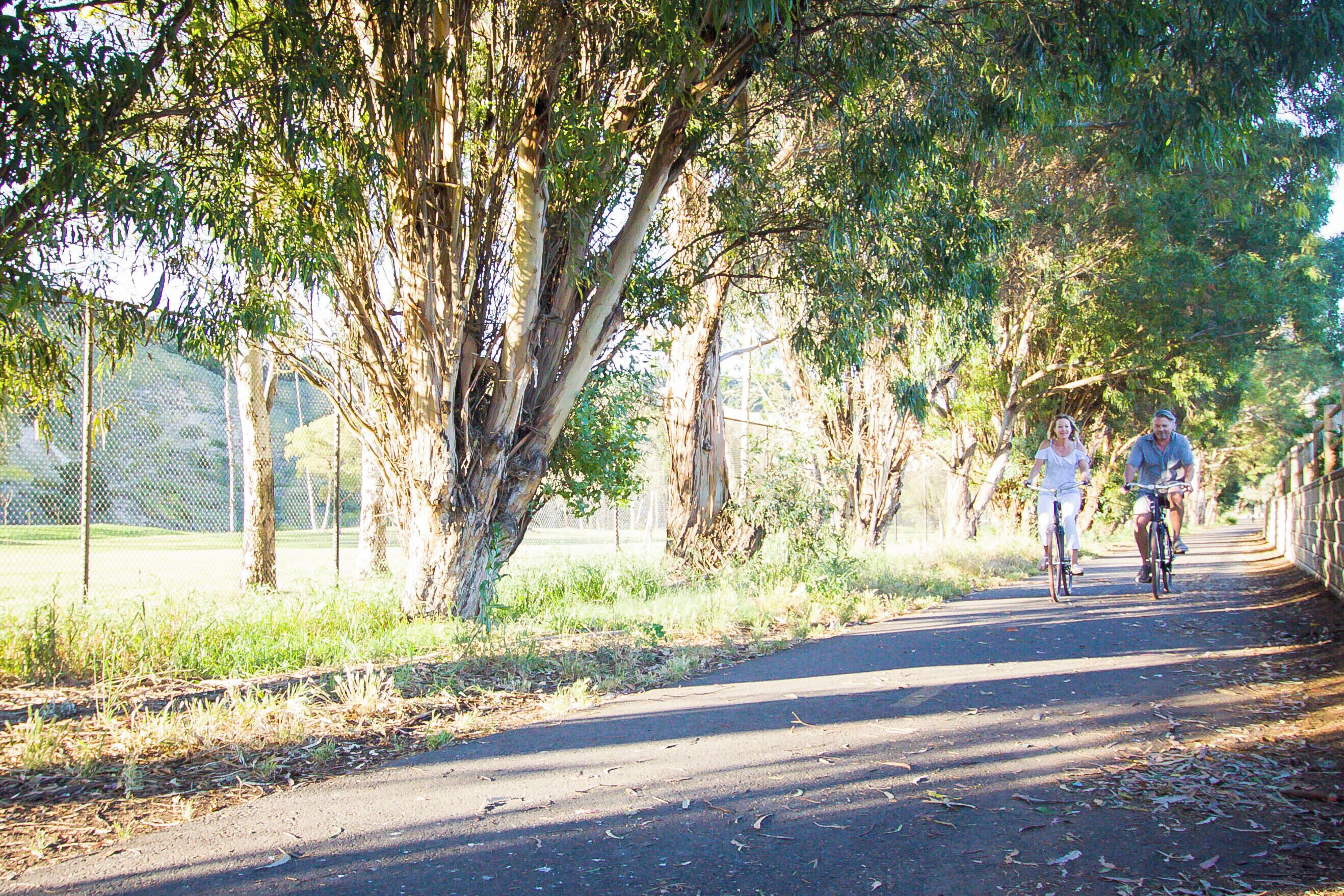 A paved pathway lined with trees and a fence, suitable for walking or cycling.