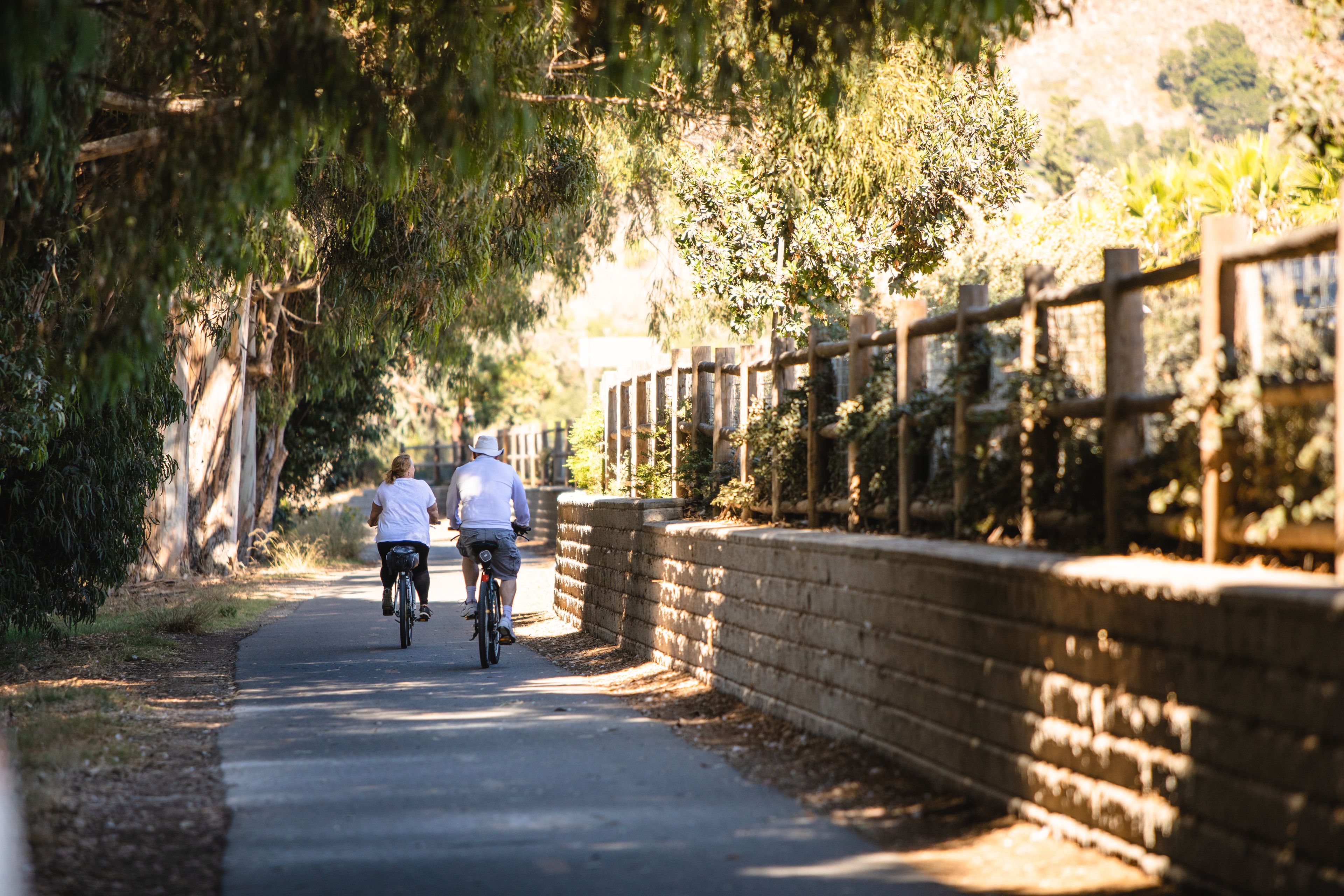 A paved pathway flanked by trees and a brick wall, suitable for walking or biking.
