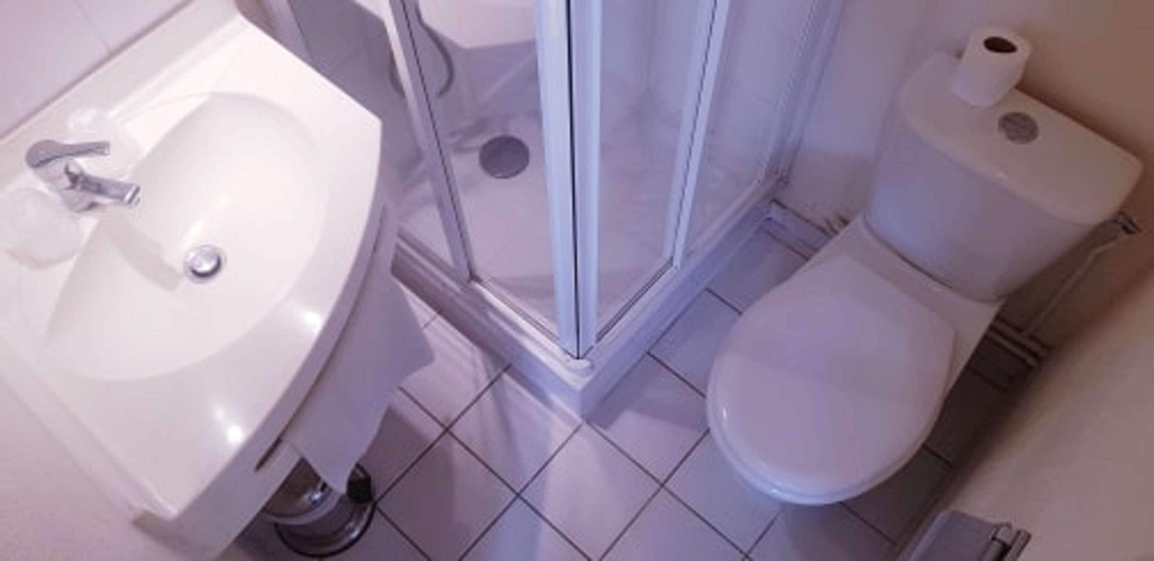 Baño con lavamanos, inodoro y zona de ducha.