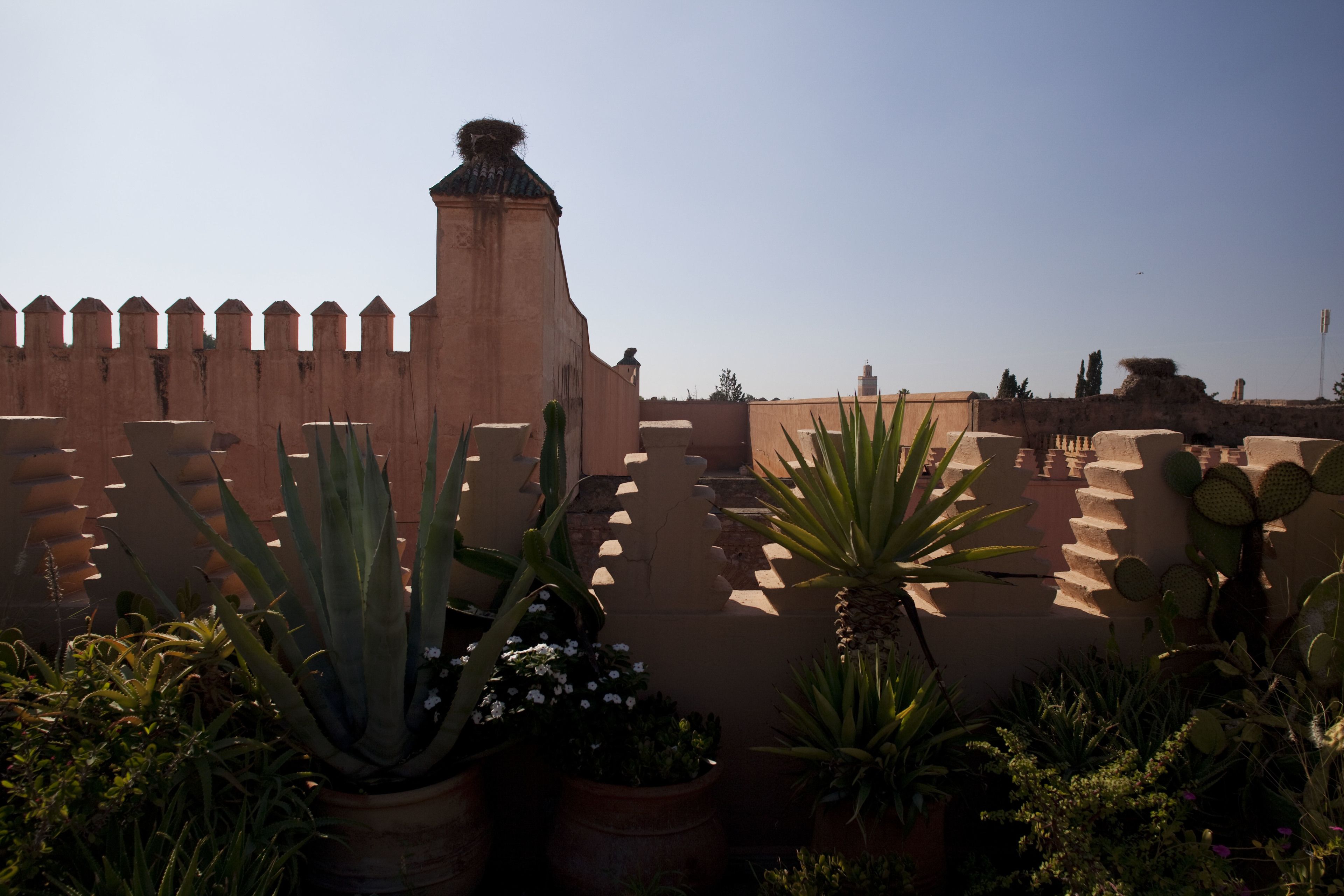 Photo - Dar Les Cigognes