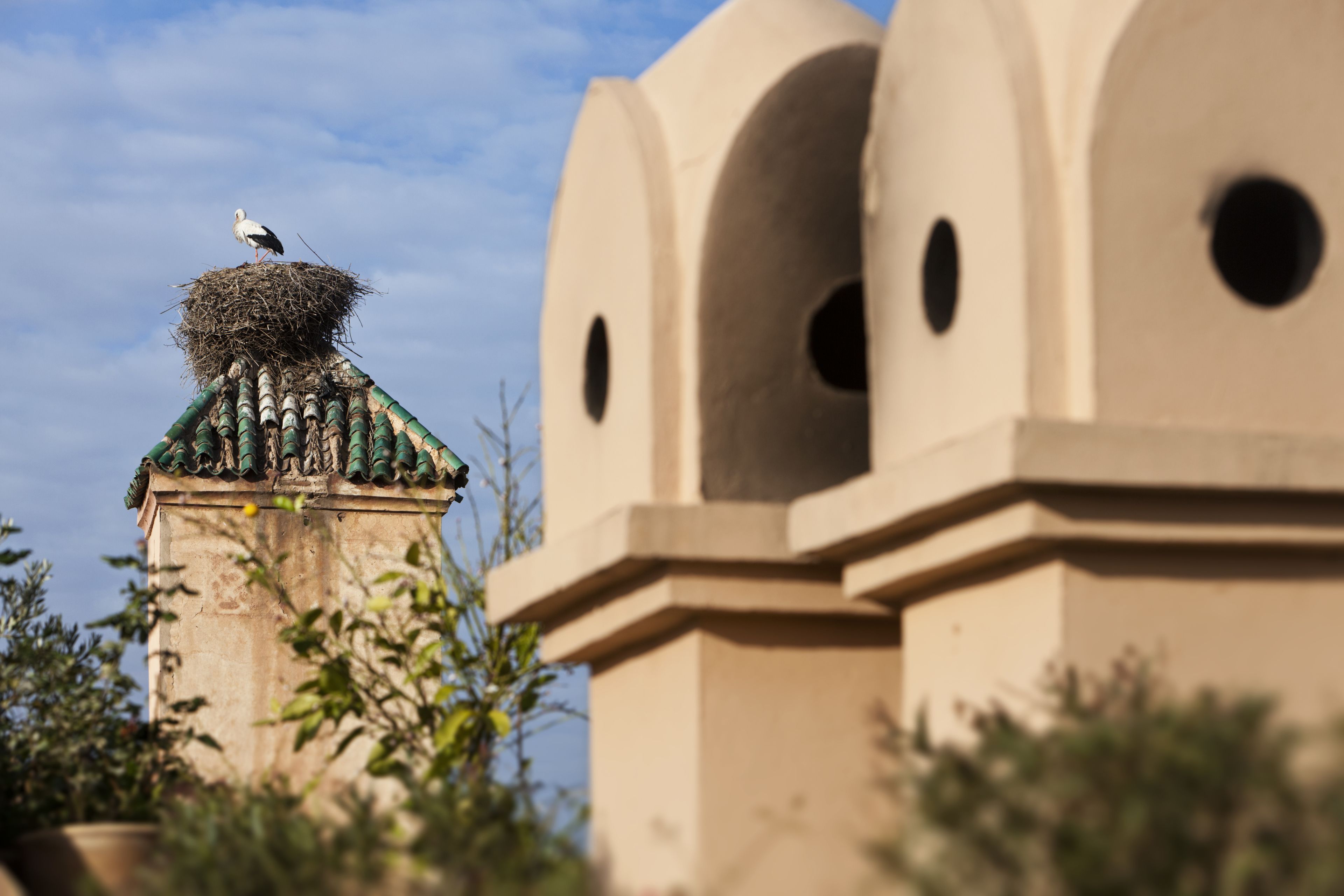 A stork perched atop a nest on a building with a tiled roof and arched windows.