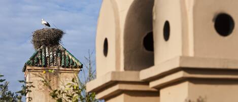 A stork perched atop a nest on a building with a tiled roof and arched windows.
