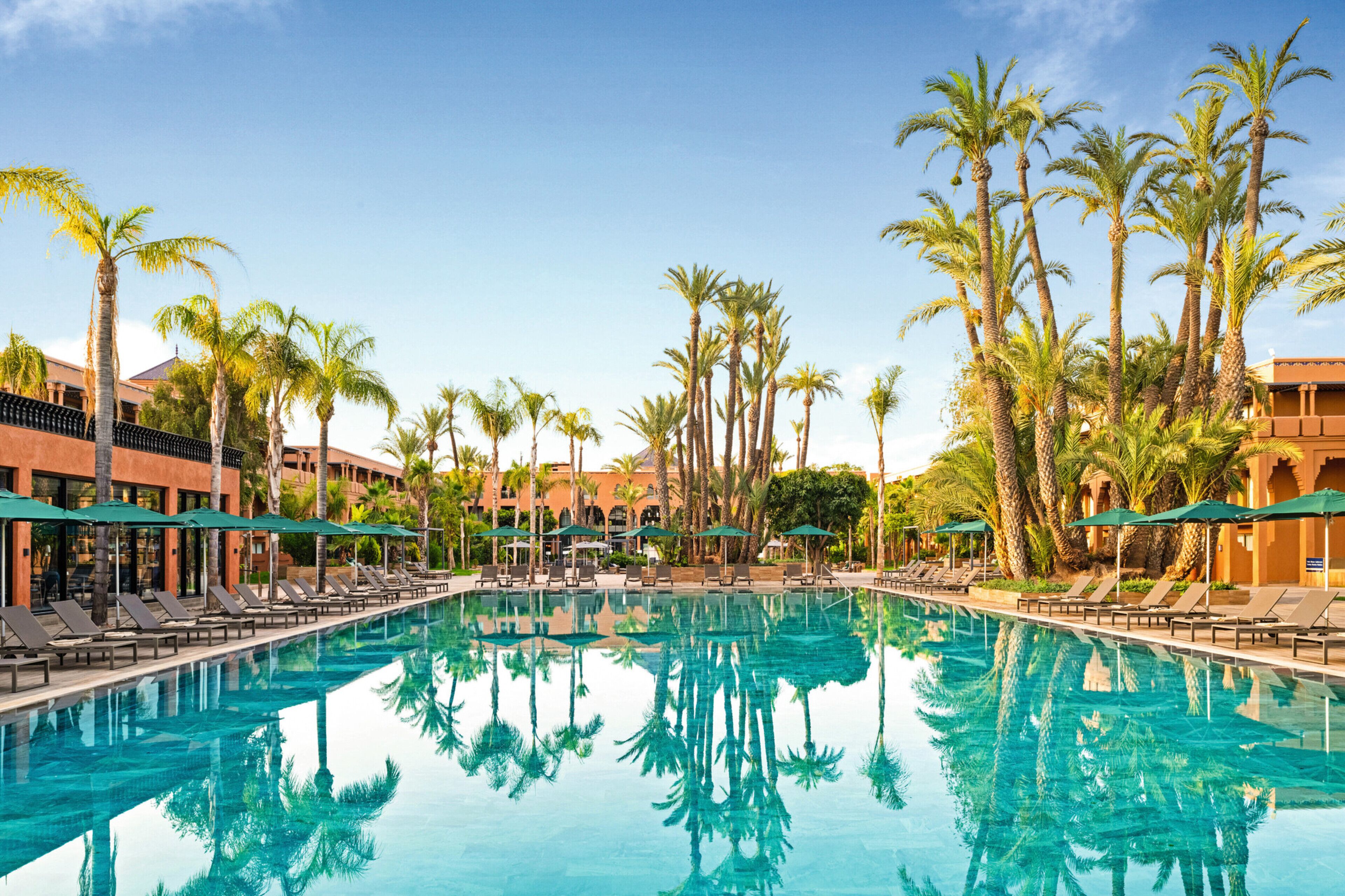A swimming pool surrounded by palm trees and lounge chairs, with a building in the background.